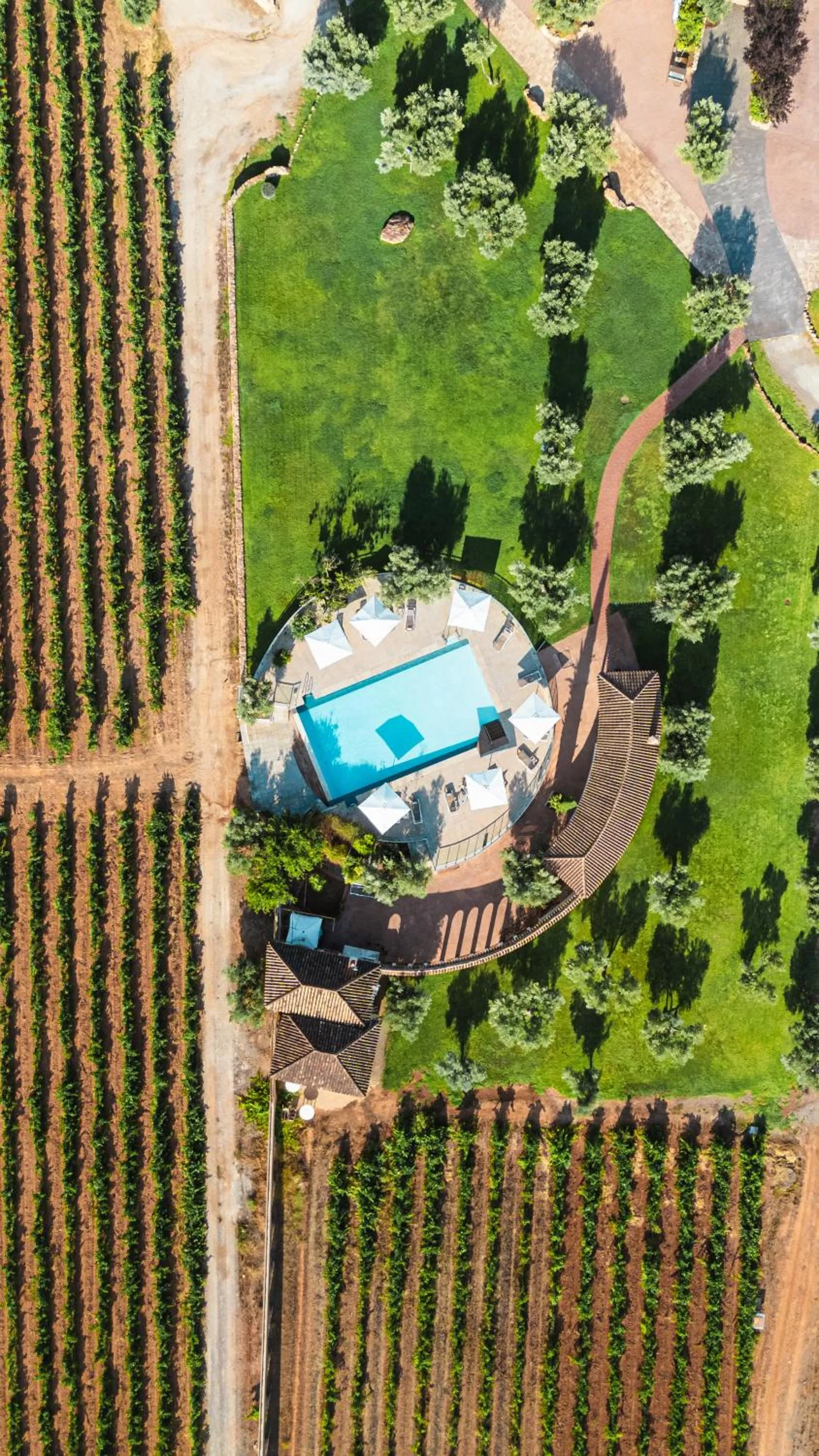 Swimming pool in Hotel & Winery Señorío de Nevada