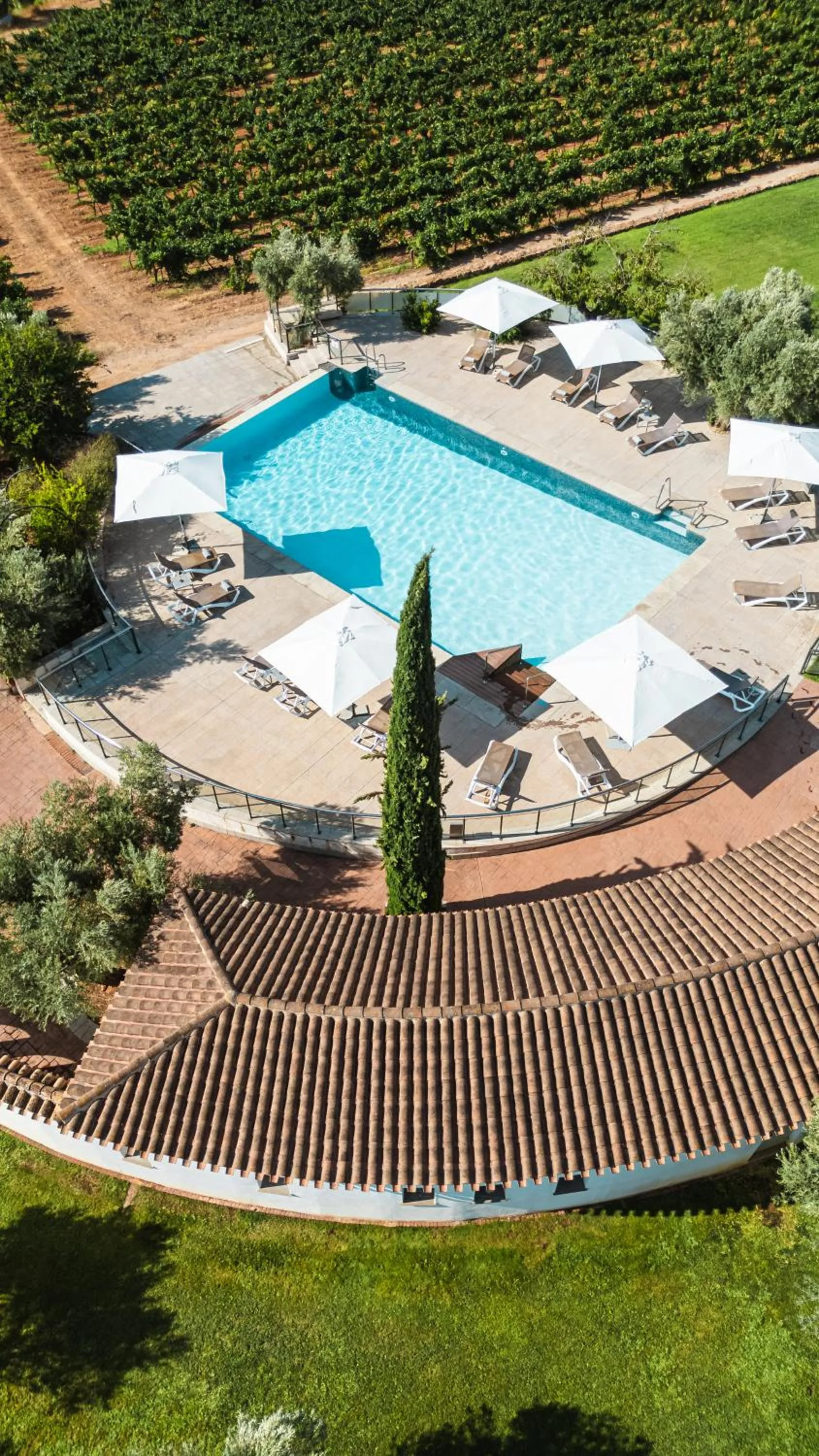 Swimming pool in Hotel & Winery Señorío de Nevada