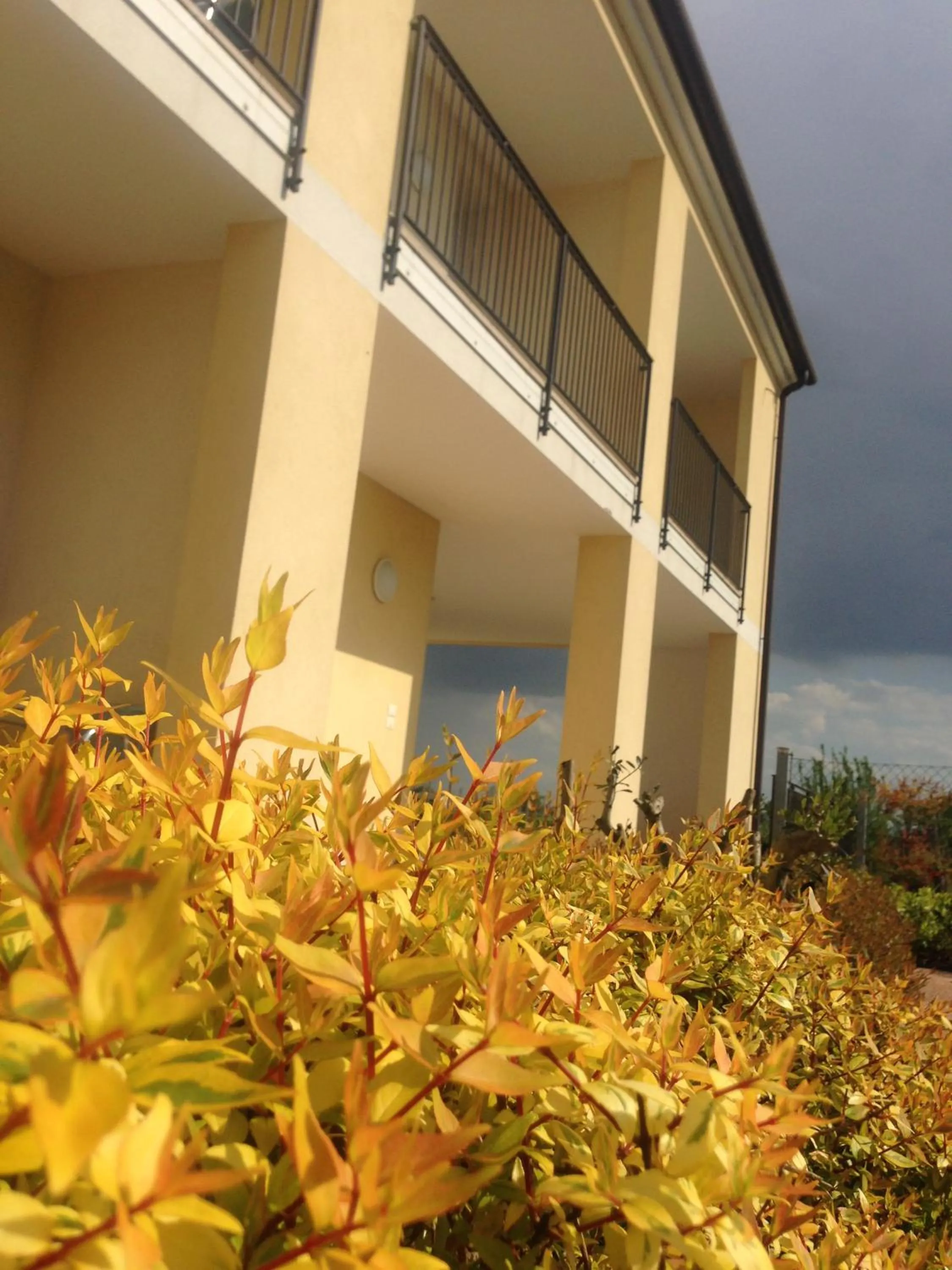 Property building in B&B Daniel