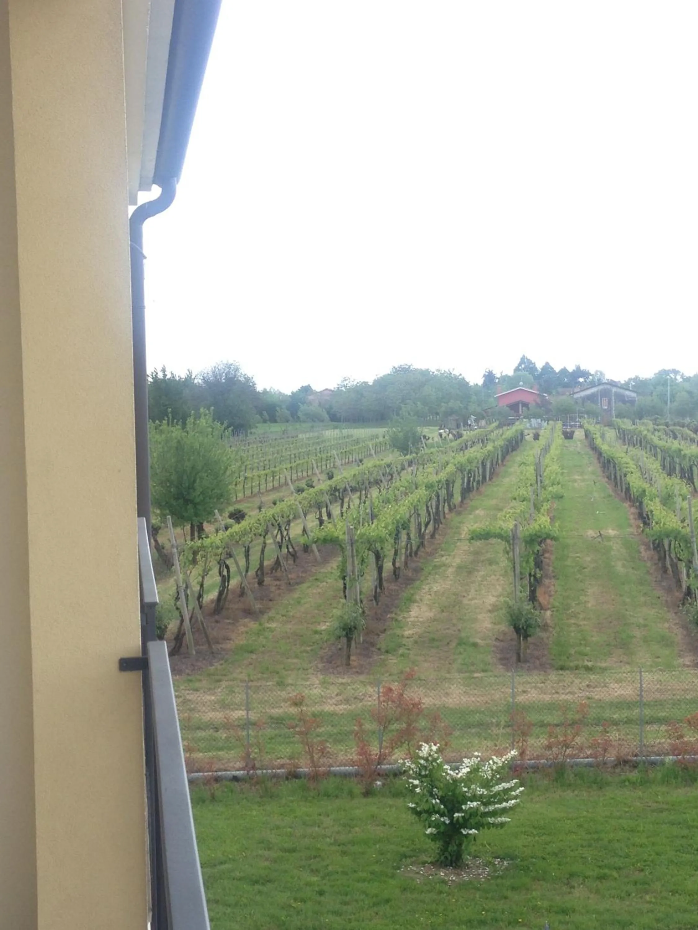 Garden view in B&B Daniel