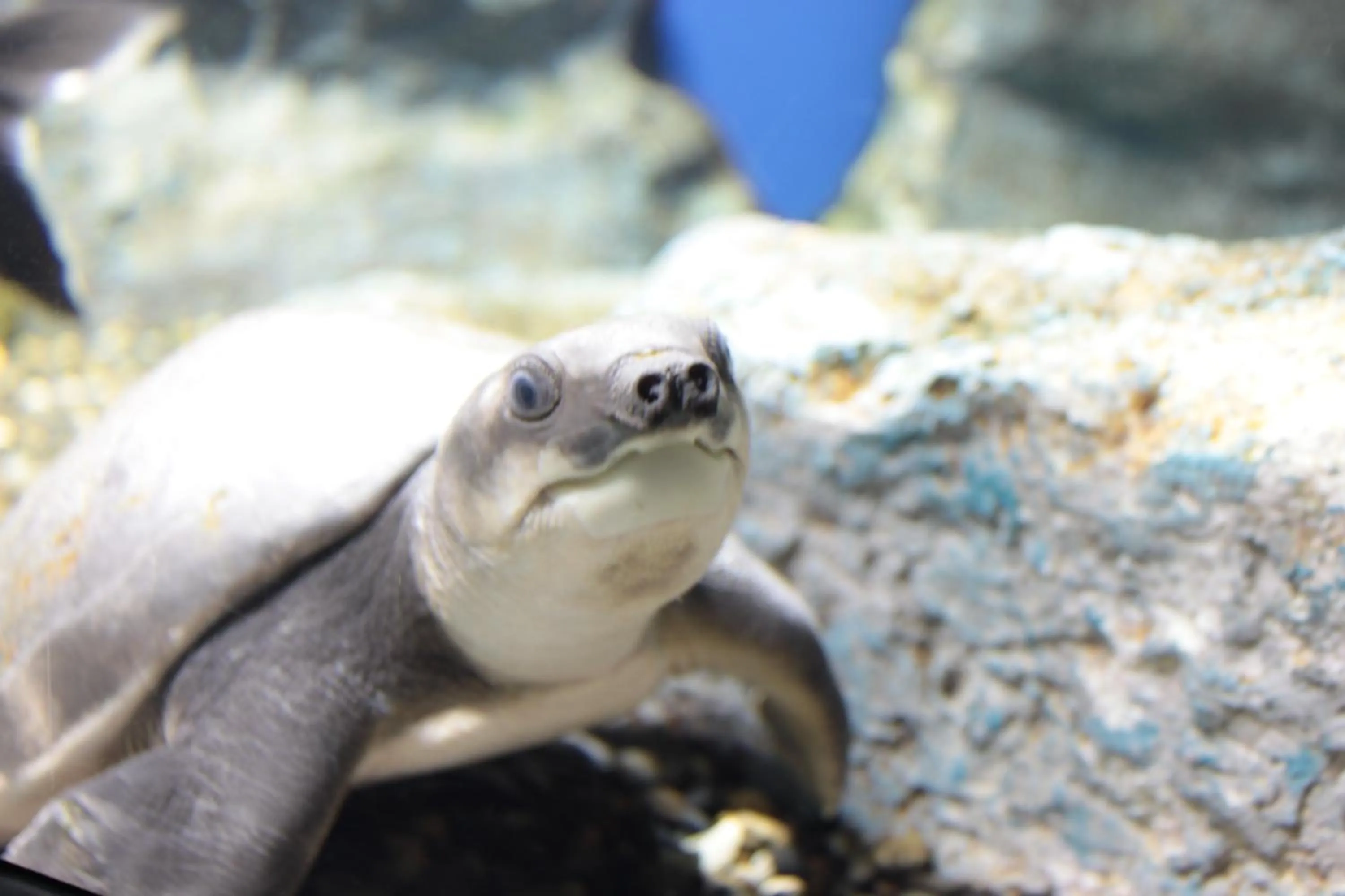 Nearby landmark in Kitami Towa Hotel