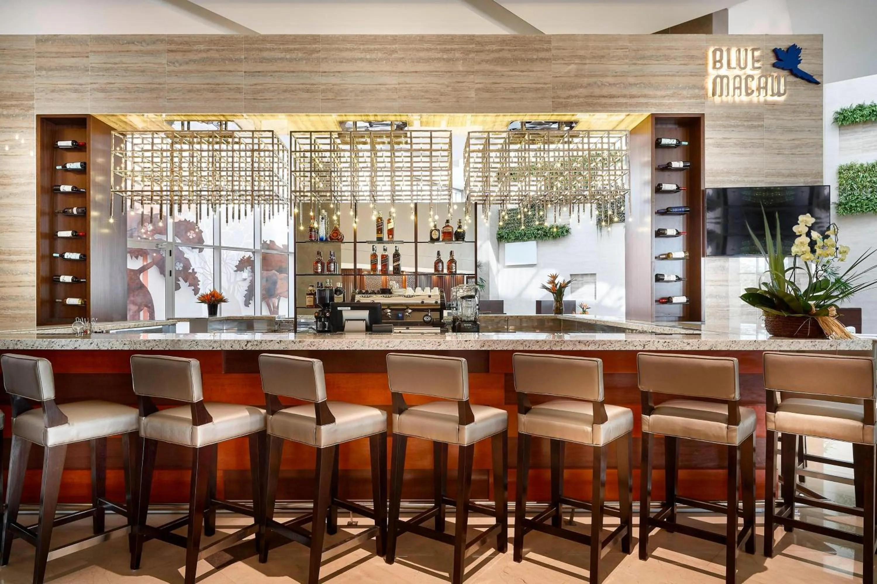 Lounge or bar in Marriott Santa Cruz de la Sierra Hotel