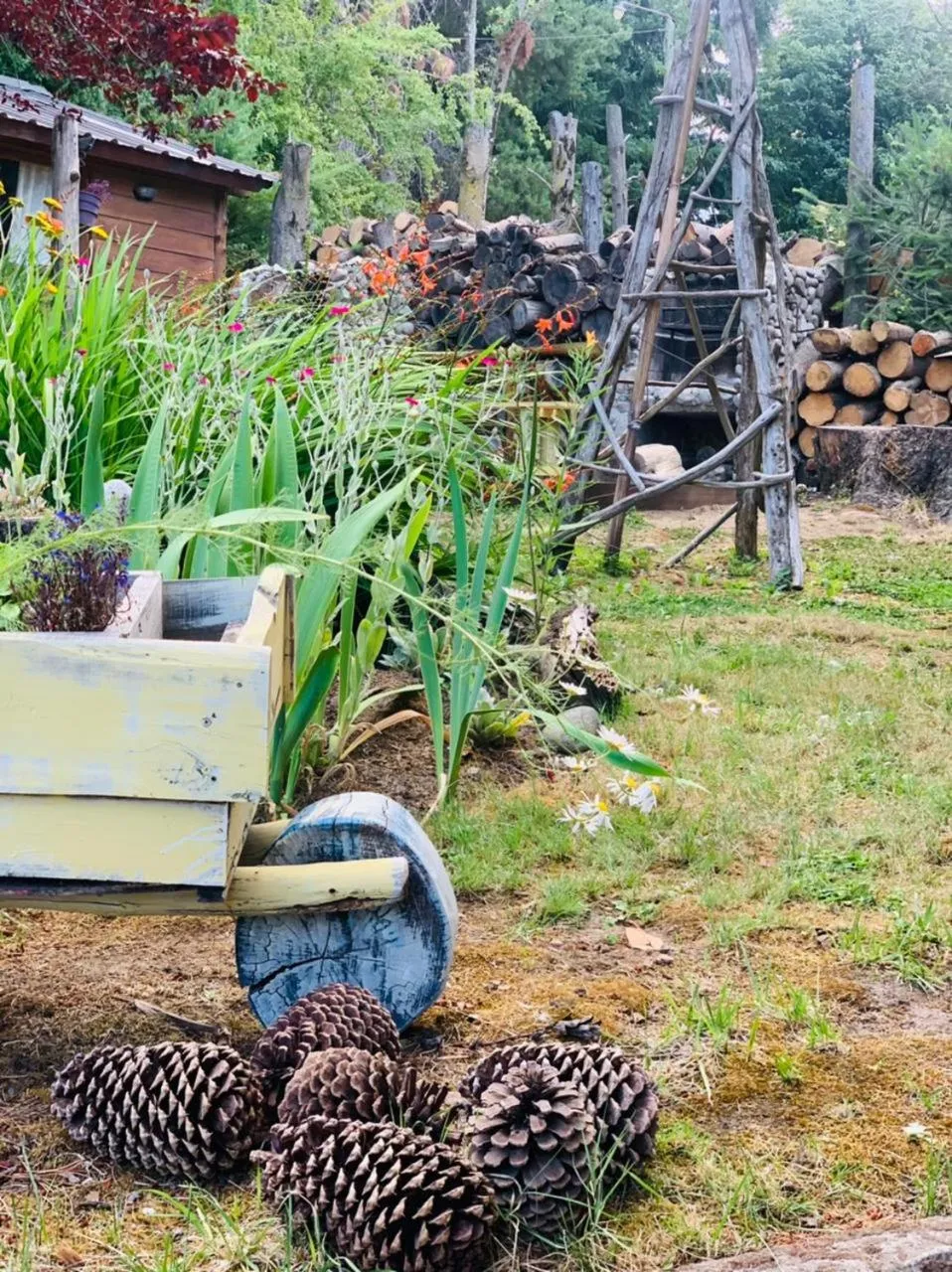 Garden in Le Bouquet Apart Hotel