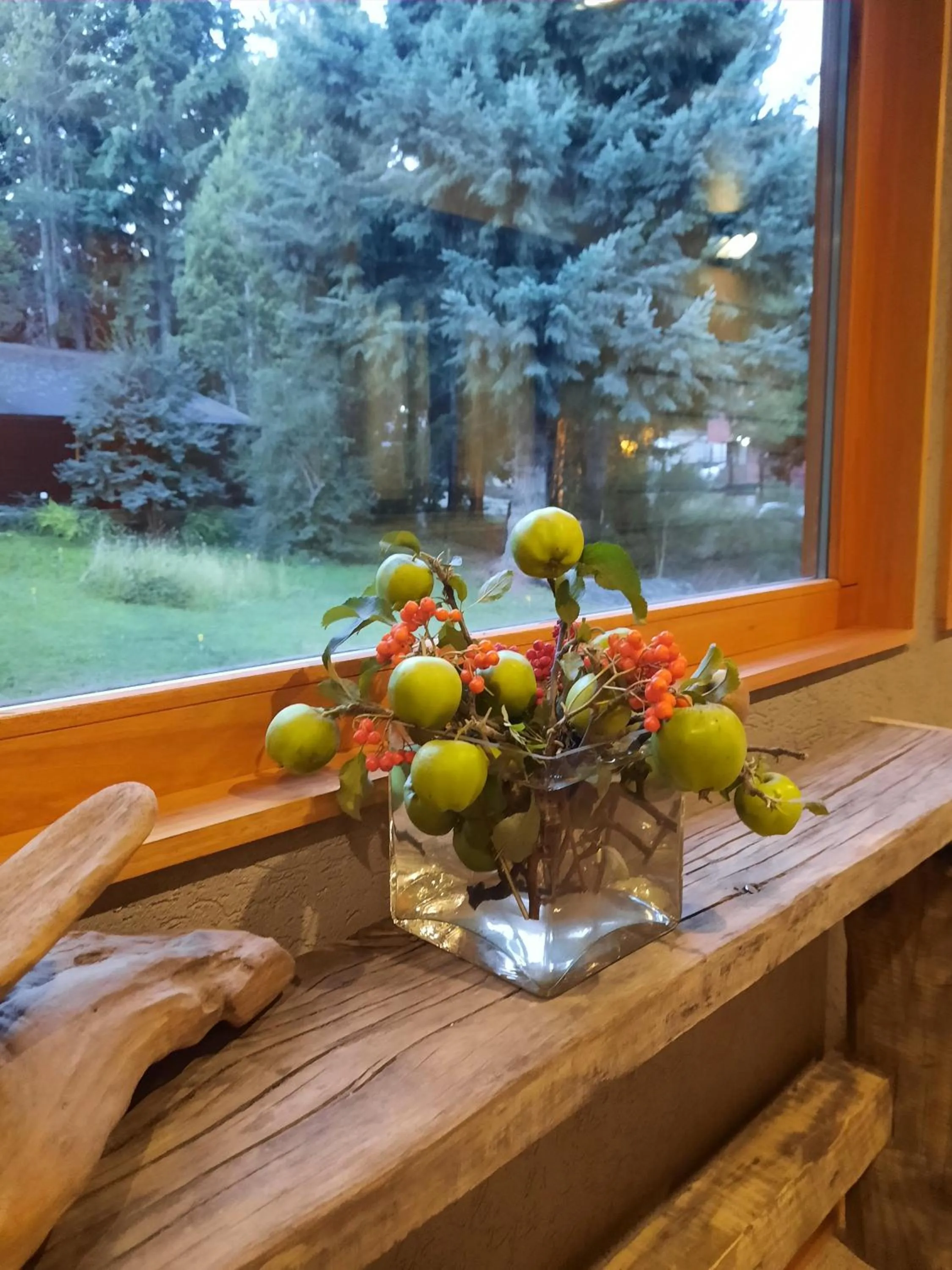 Garden view in Le Bouquet Apart Hotel