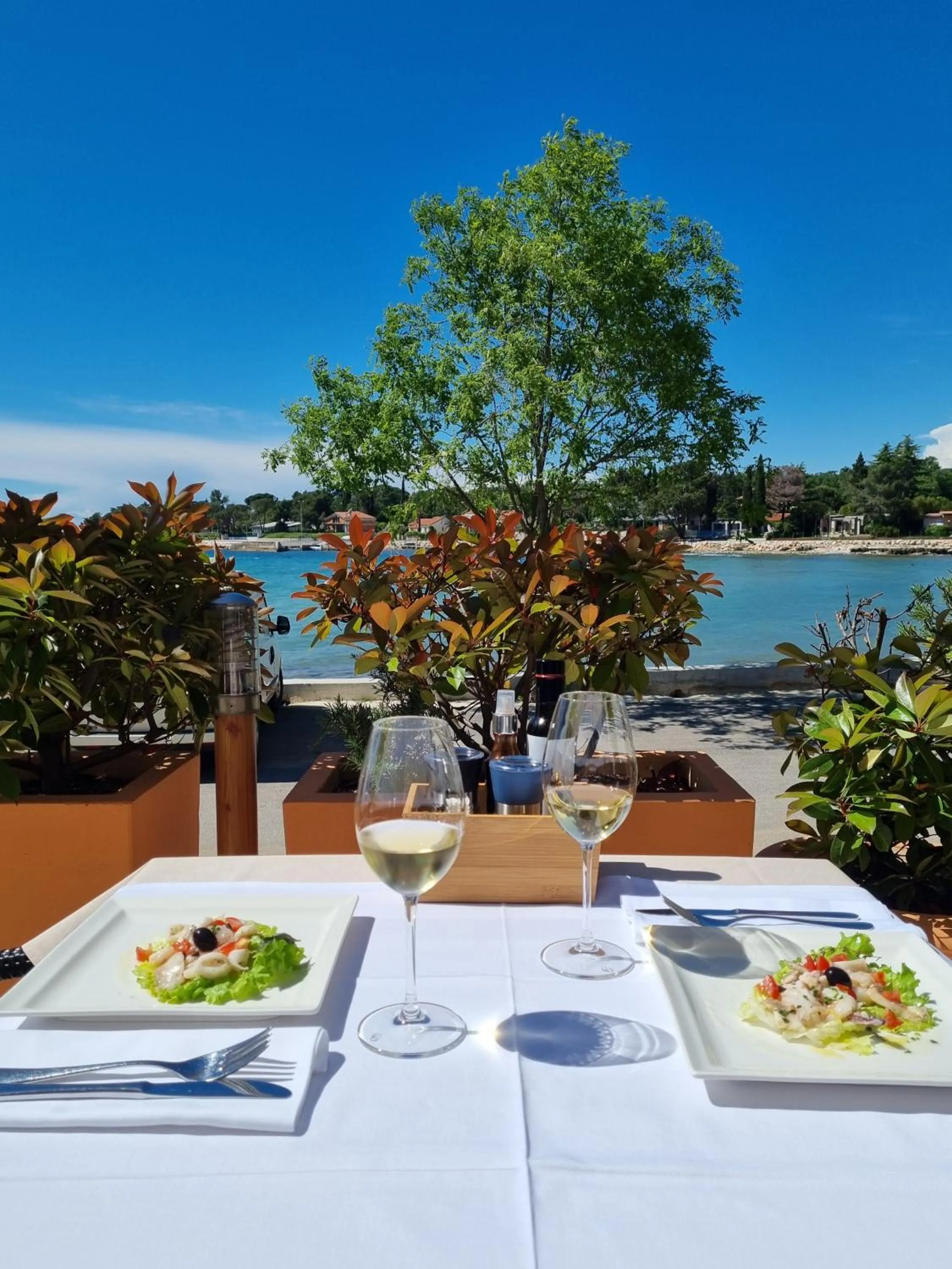 Restaurant/places to eat in Hotel Zlatna Vala