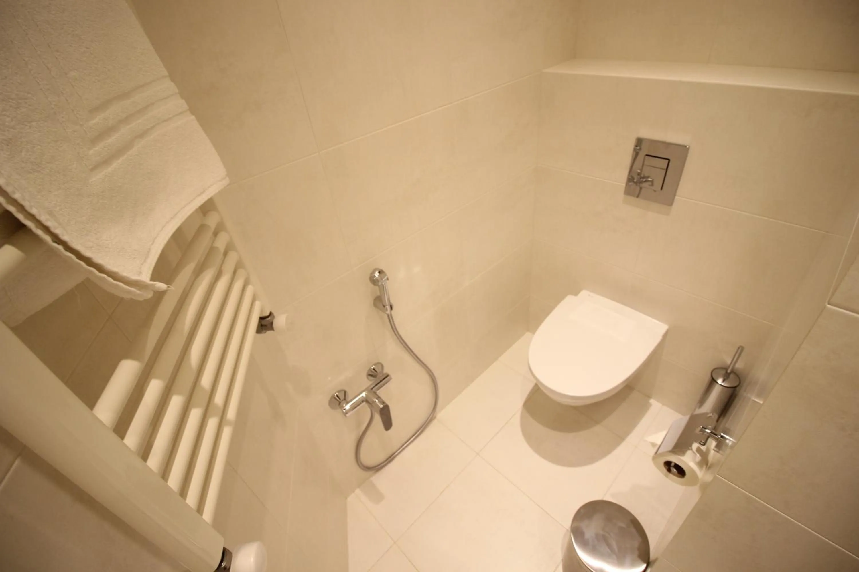 Toilet in Super Luxury Apartments