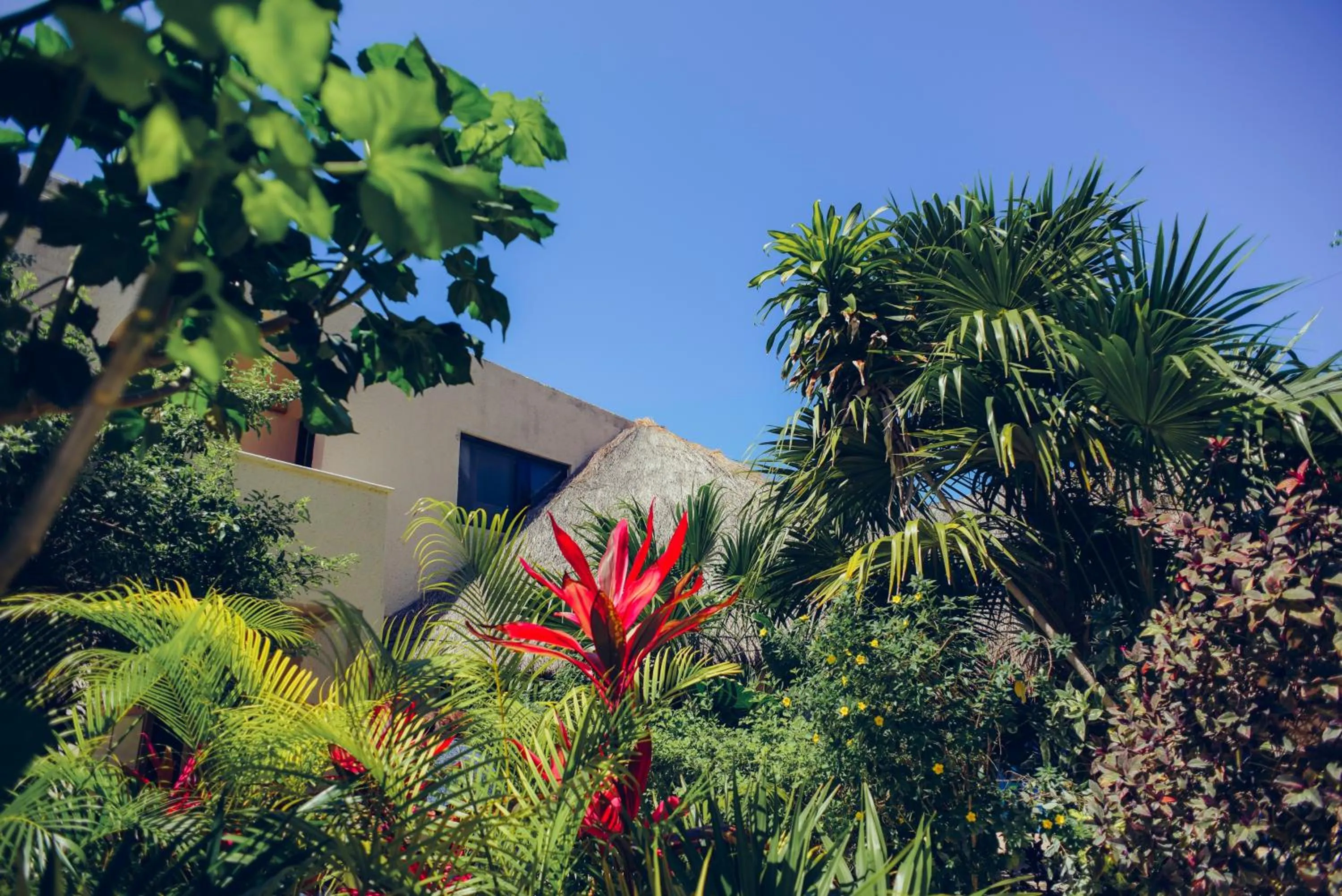 Garden in Aquatech Villas DeRosa Resort