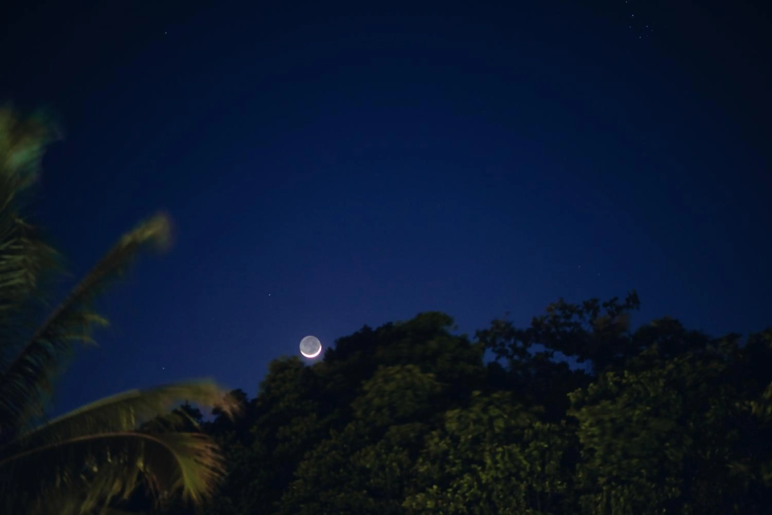 Garden view in Aquatech Villas DeRosa Resort