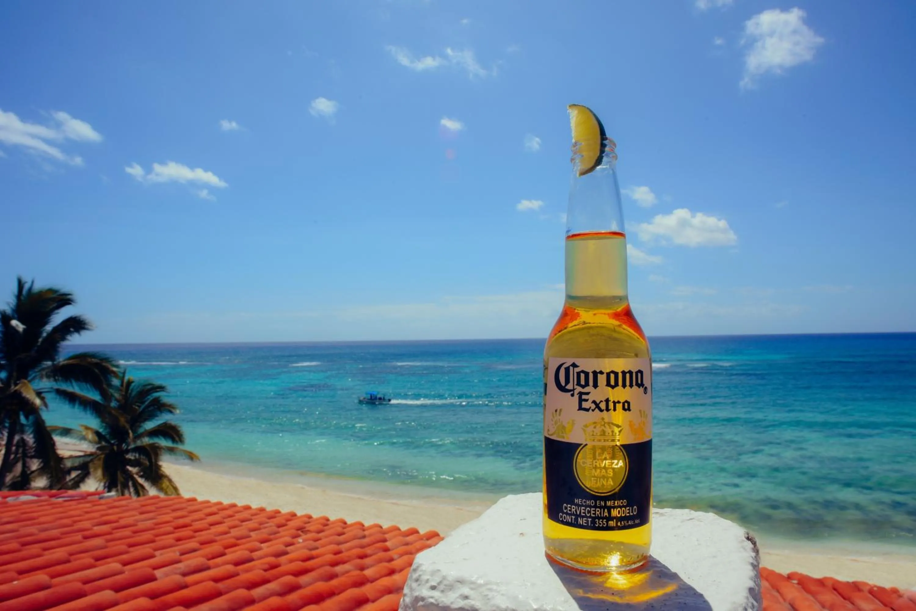 Lounge or bar in Aquatech Villas DeRosa Resort