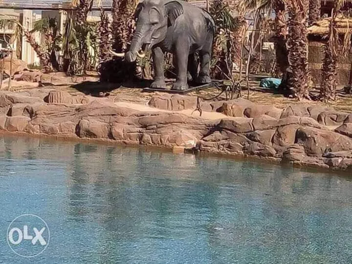 Chalet in Bluebay Asia Resort Ain Sokhna