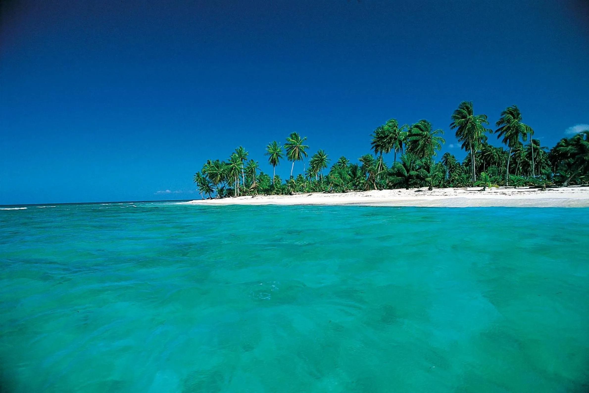 Area and facilities in Barceló Bávaro Beach - Adults Only All Inclusive