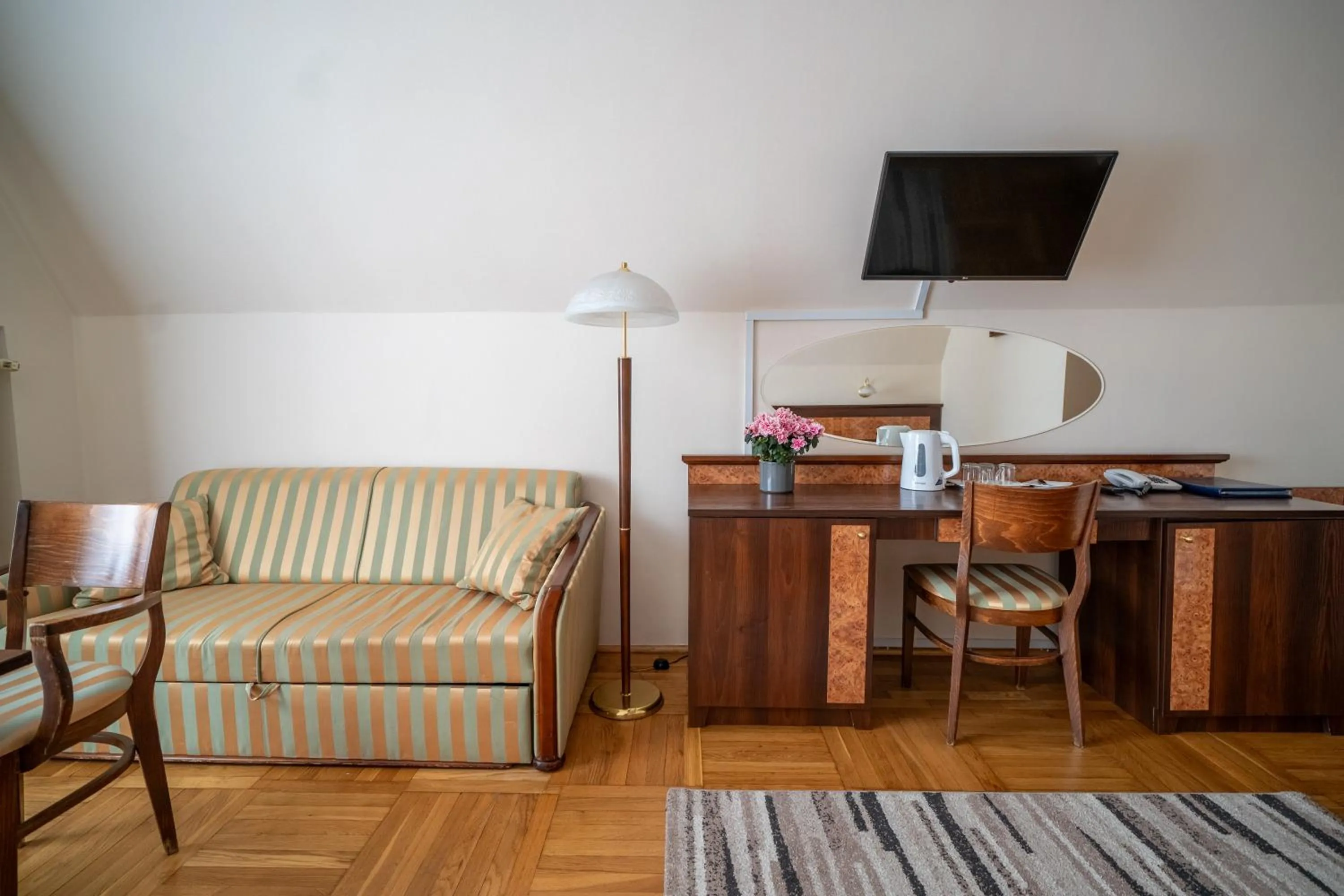 TV and multimedia in Zespół Dolina Białego - Willa Pan Tadeusz