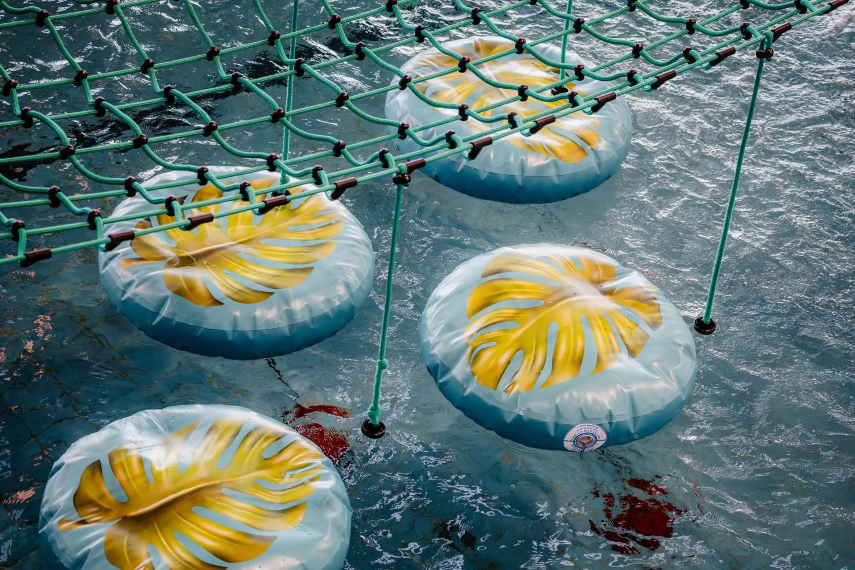 Aqua park in Zespół Dolina Białego - Willa Pan Tadeusz