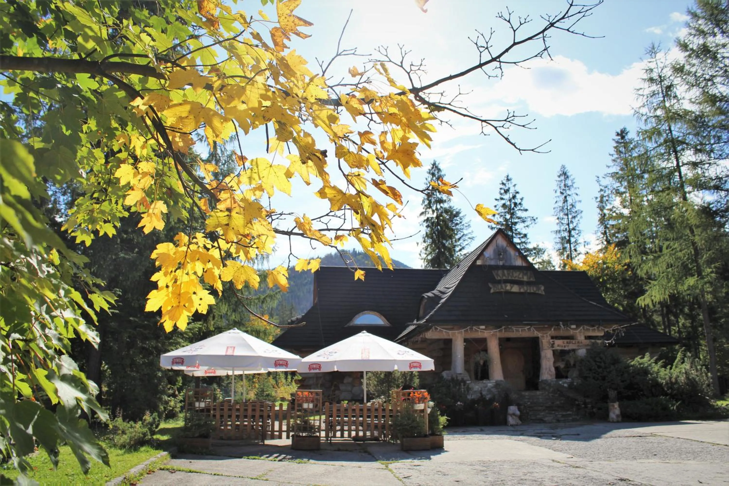 Restaurant/places to eat in Zespół Dolina Białego - Willa Pan Tadeusz