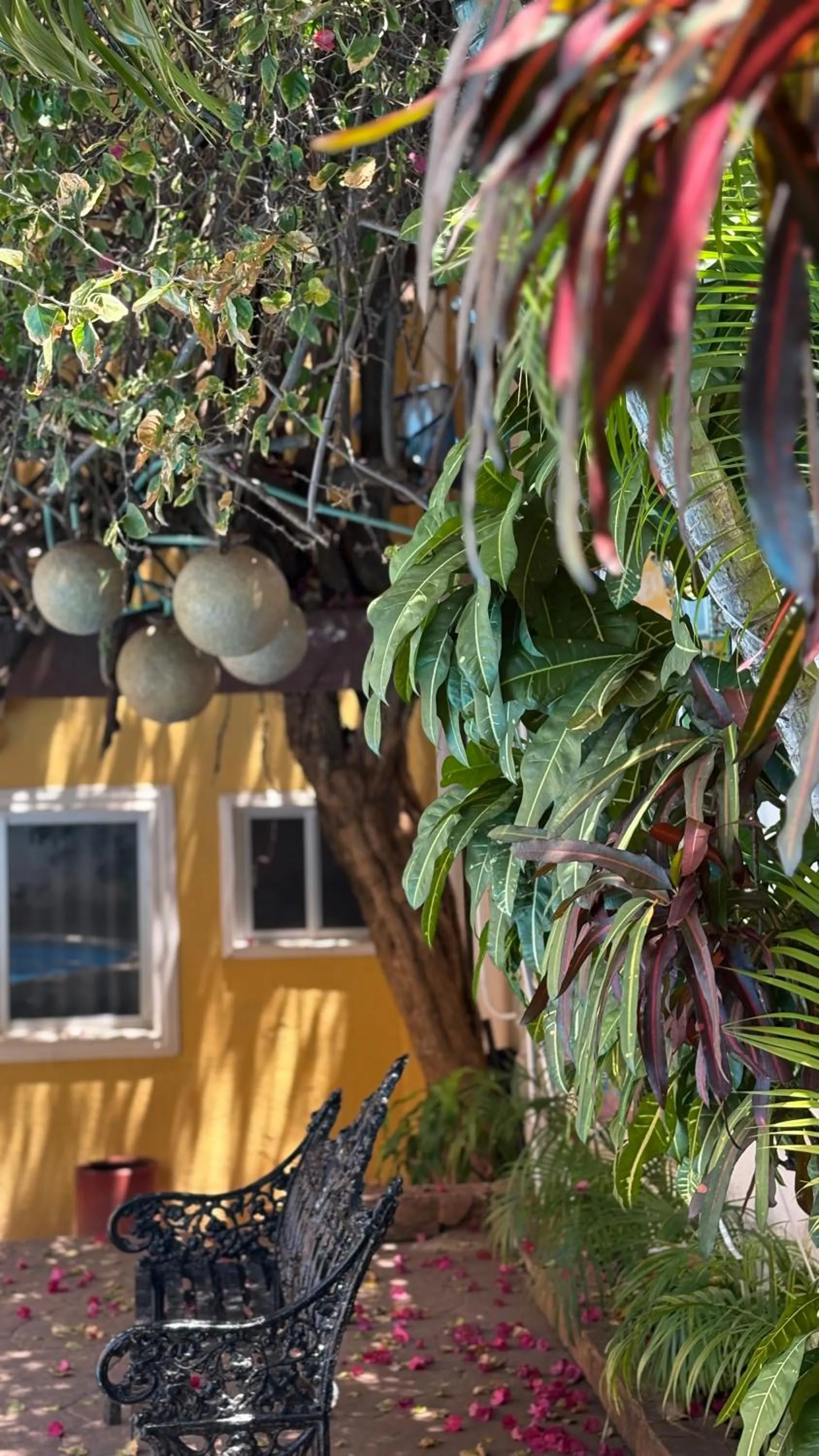 Property building in Suites Cancun Center