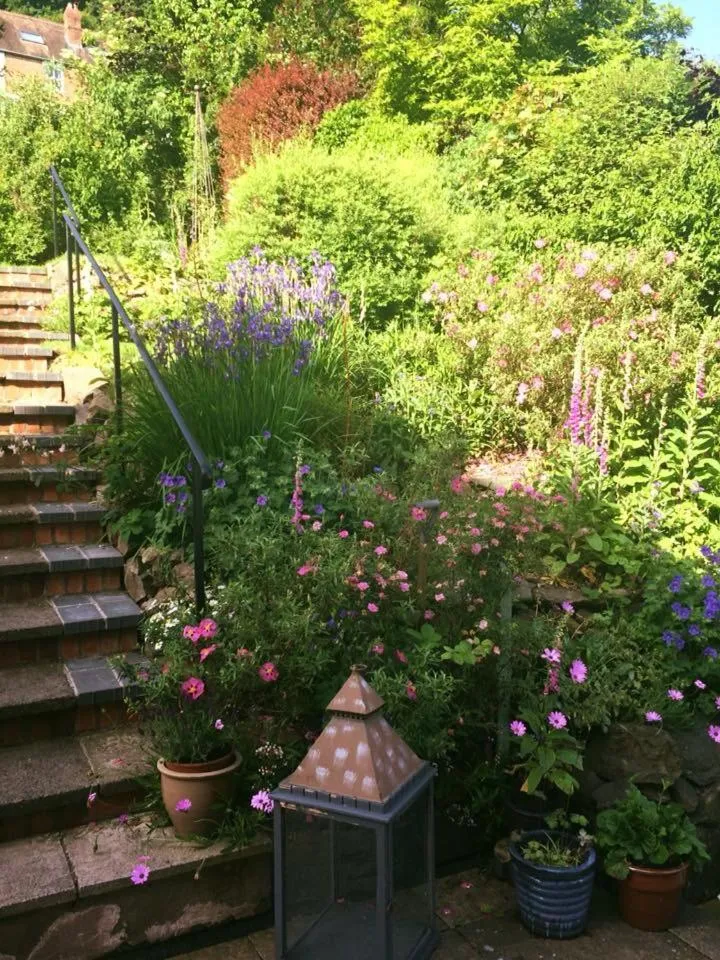 Garden in Ashbury Bed & Breakfast