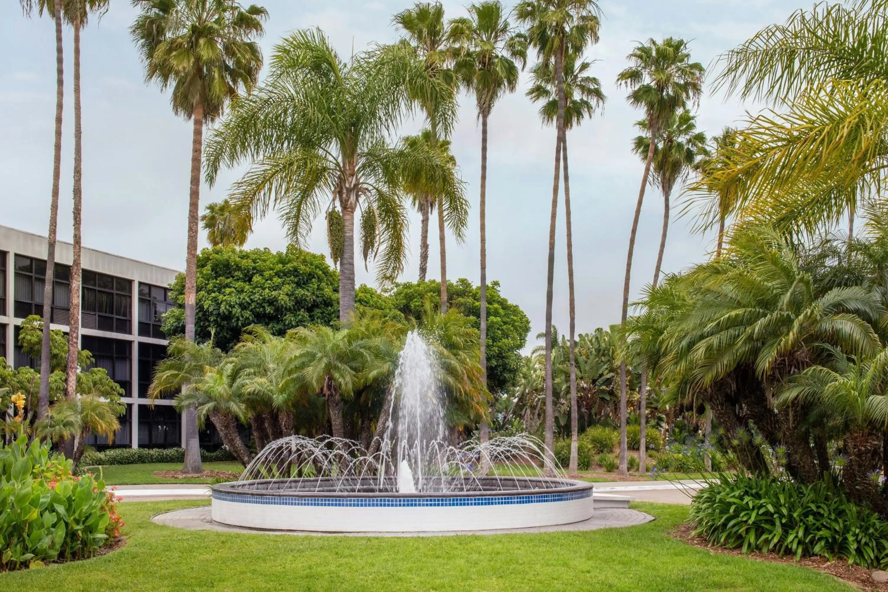 View (from property/room) in Four Points by Sheraton San Diego