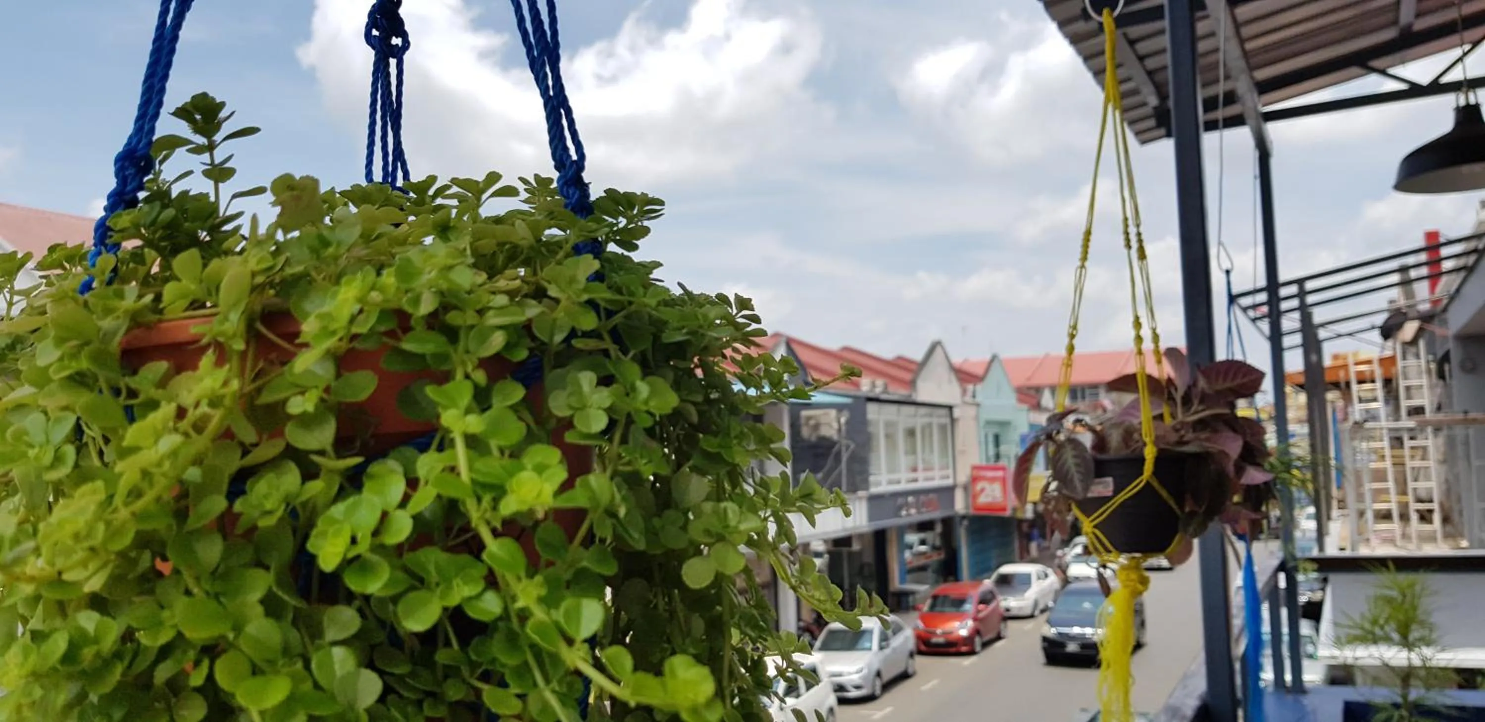 Street view in Kuree Hut