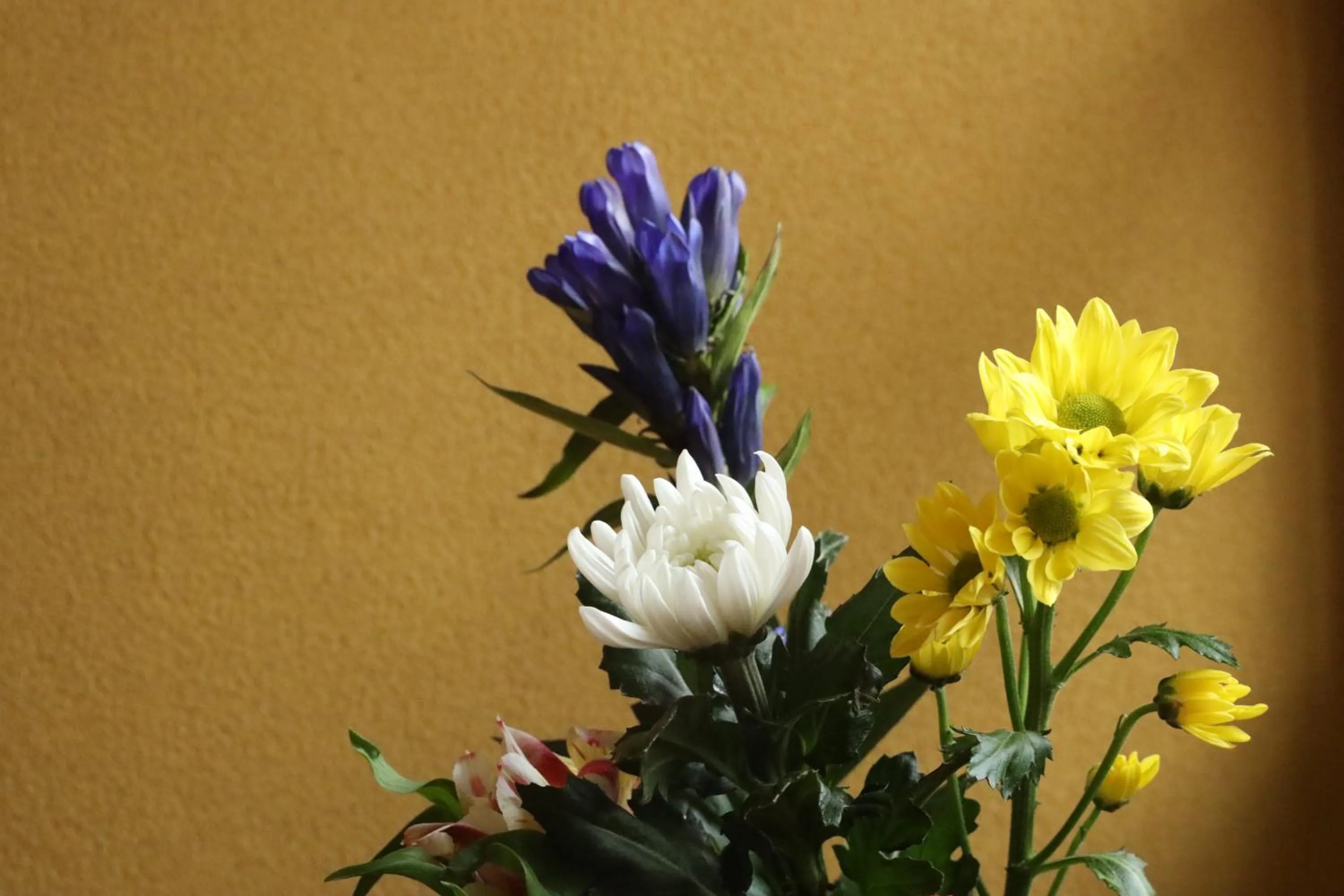 Lobby or reception in Daibutsu Ryokan