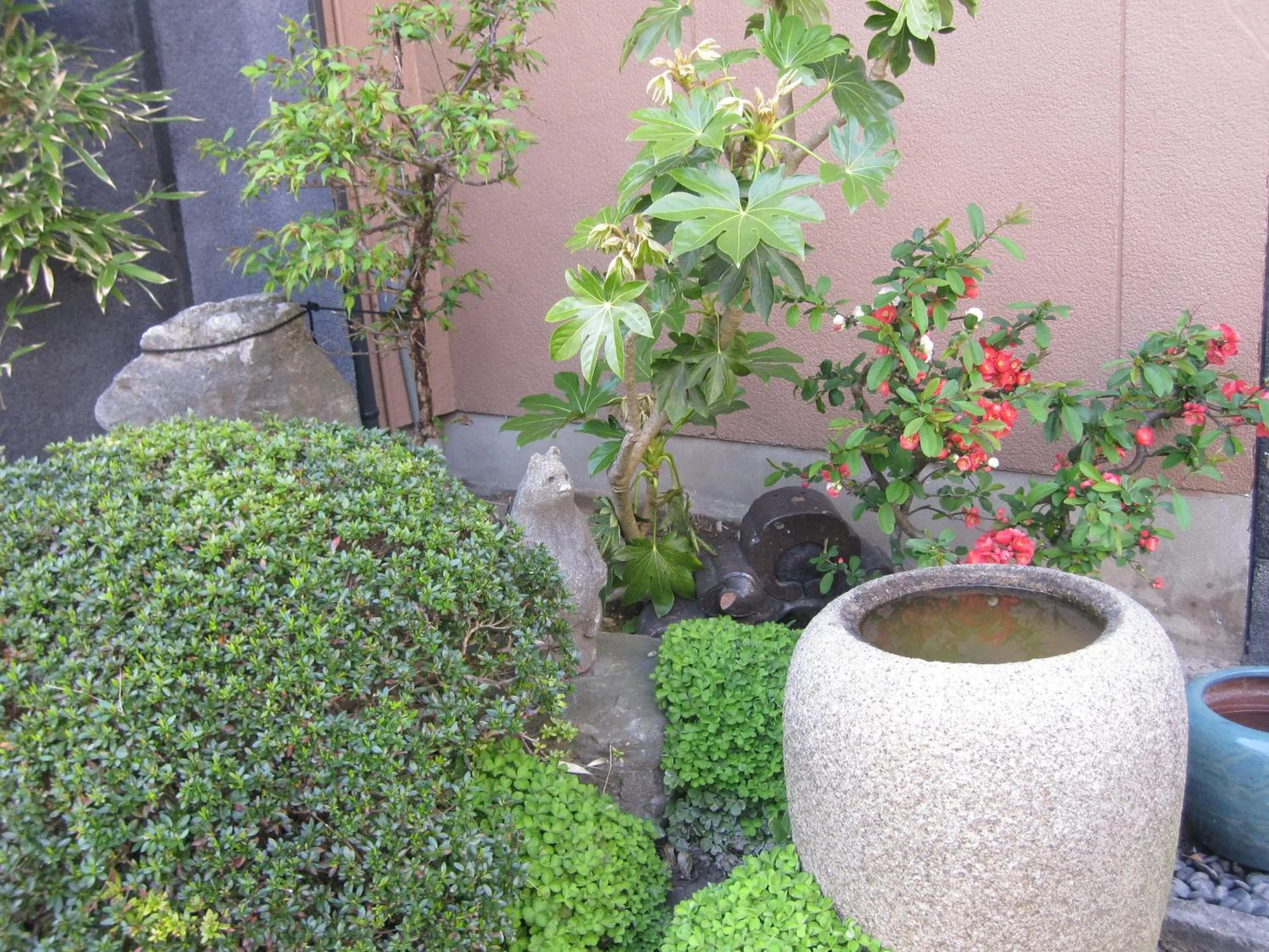 Spring in Daibutsu Ryokan