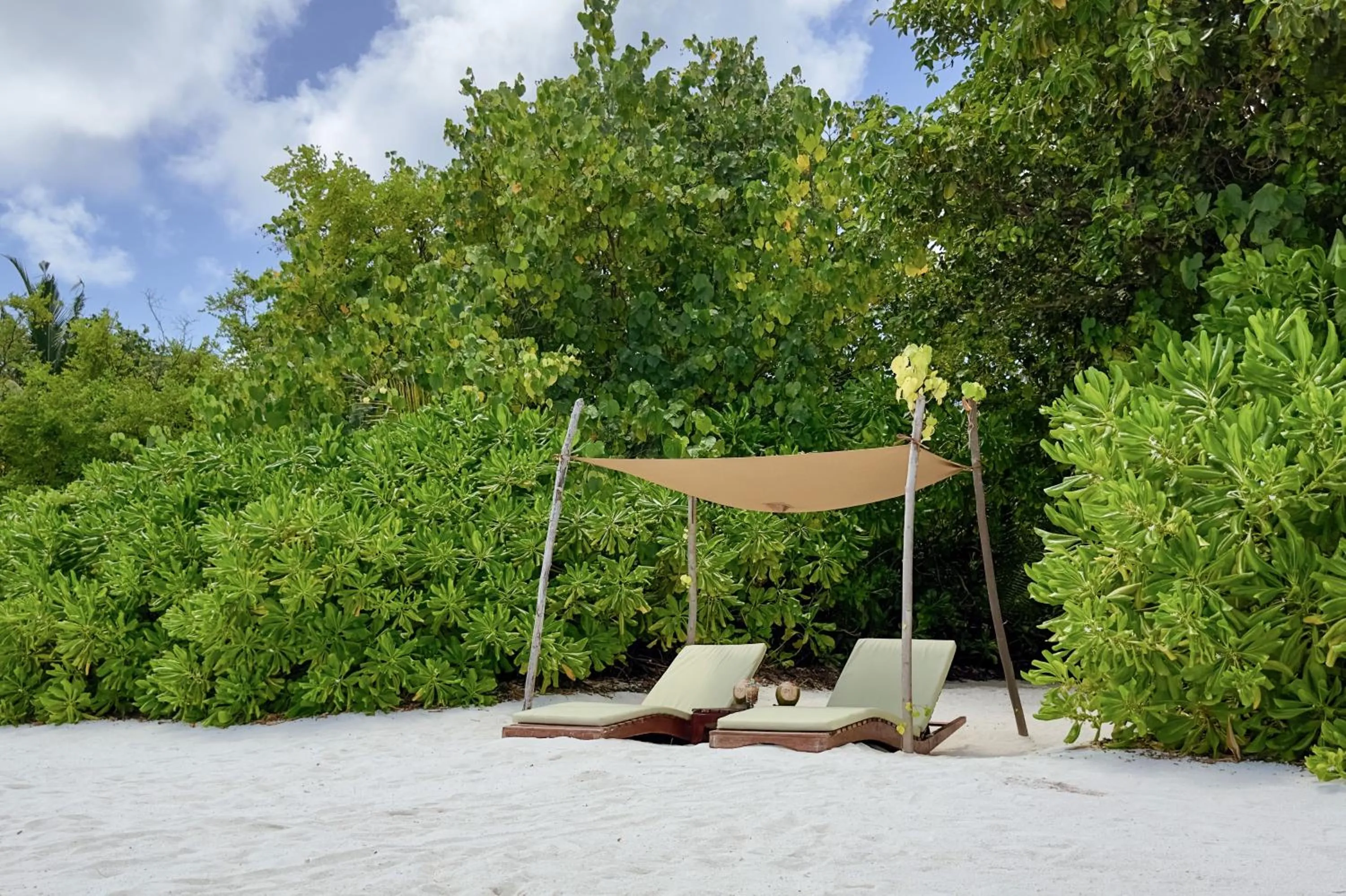 sunbed in Coco Bodu Hithi - 50 Percent Off Shared Roundtrip Speedboat for Stays until 7th January 2027, Book by 11th January 2026