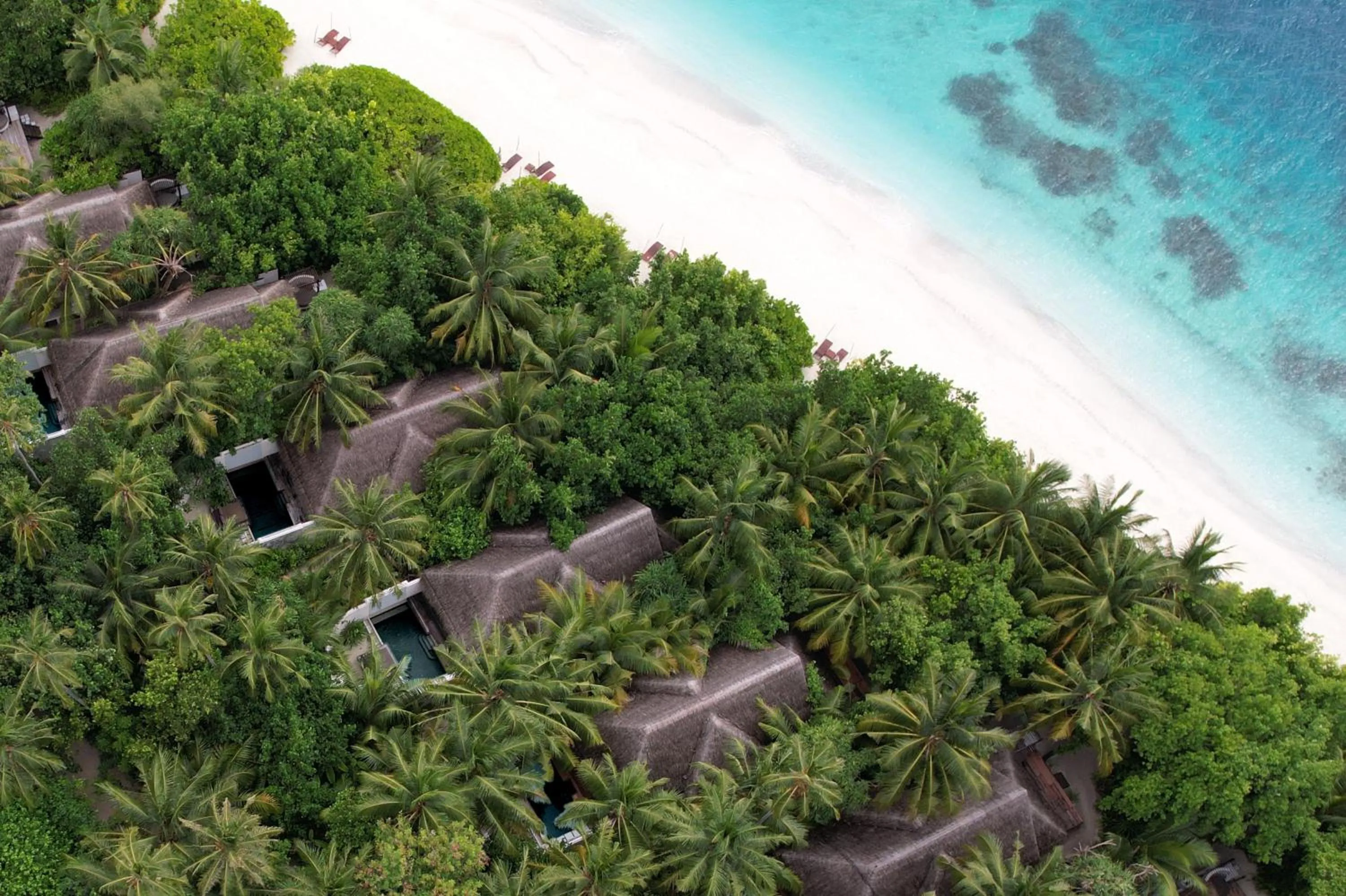 Natural landscape in Coco Bodu Hithi - 50 Percent Off Shared Roundtrip Speedboat for Stays until 7th January 2027, Book by 11th January 2026