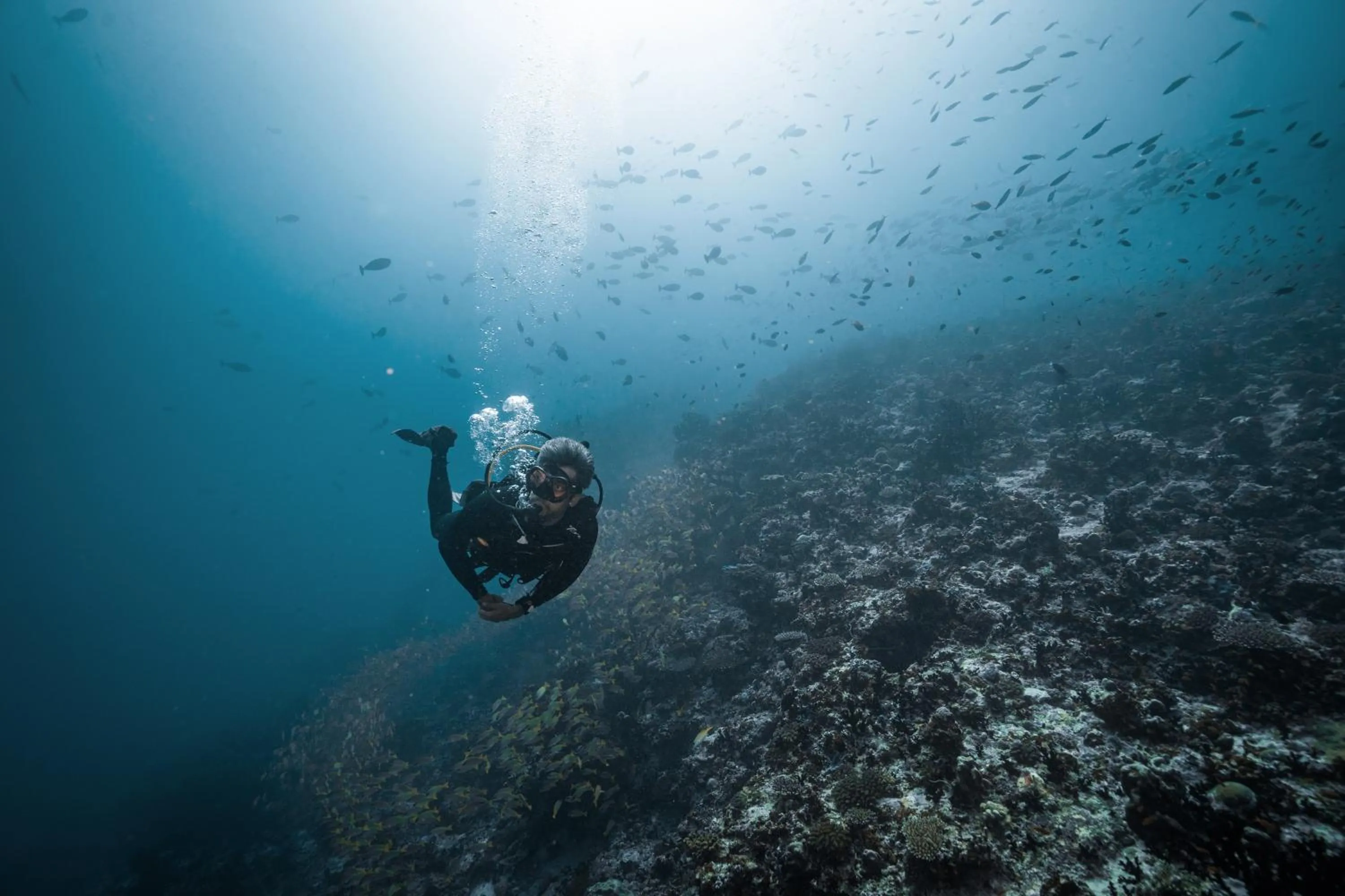 Activities in Coco Bodu Hithi - 50 Percent Off Shared Roundtrip Speedboat for Stays until 7th January 2027, Book by 11th January 2026