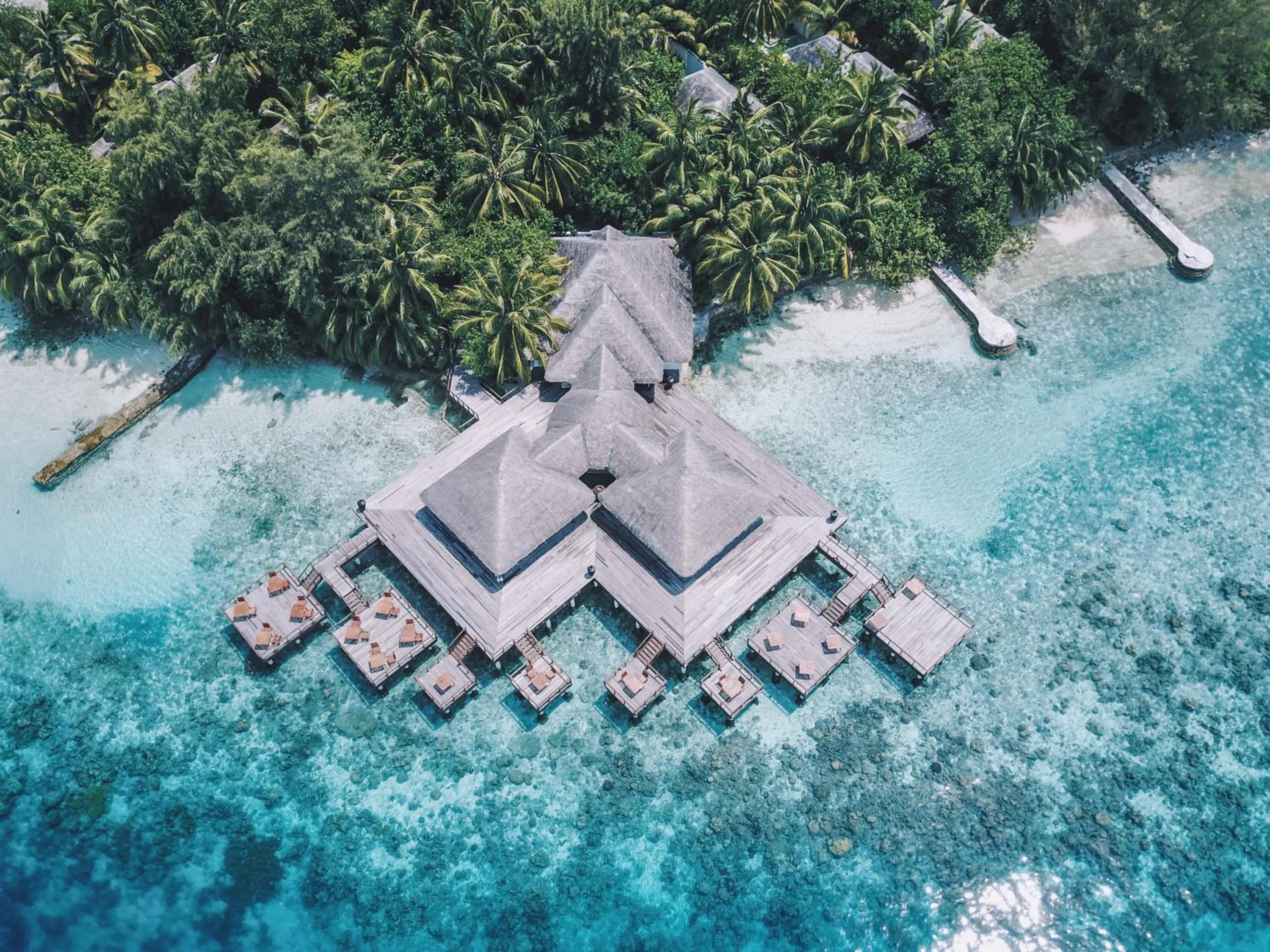 Restaurant/places to eat in Coco Bodu Hithi - 50 Percent Off Shared Roundtrip Speedboat for Stays until 7th January 2027, Book by 11th January 2026