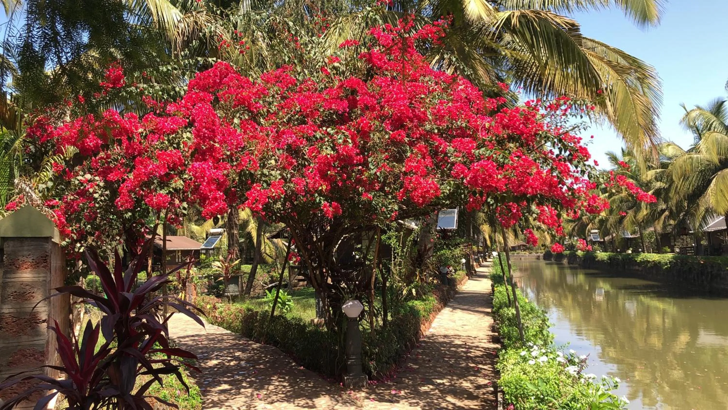 Street view in Resort Primo Bom Terra Verde