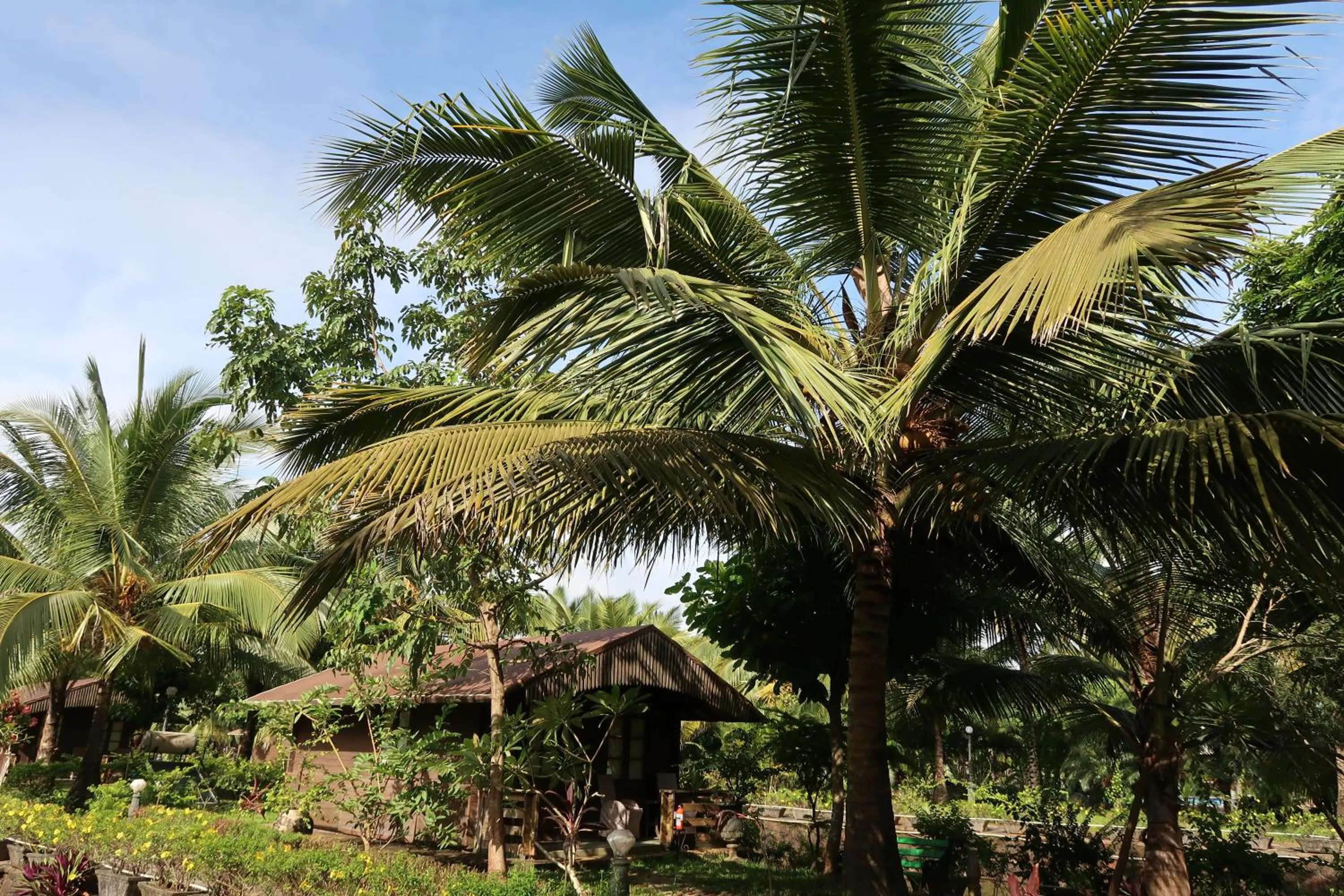 Garden view in Resort Primo Bom Terra Verde