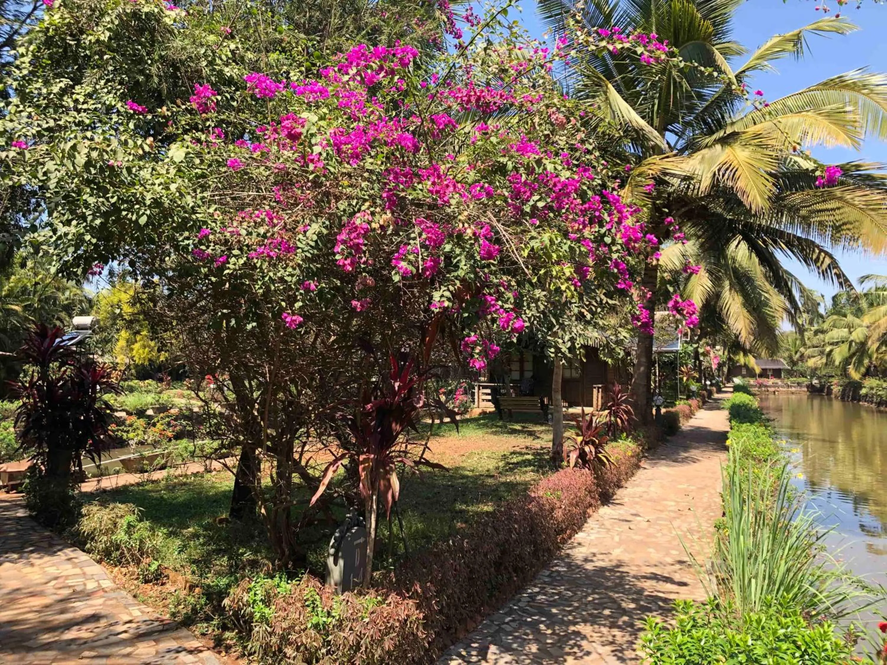 Garden view in Resort Primo Bom Terra Verde