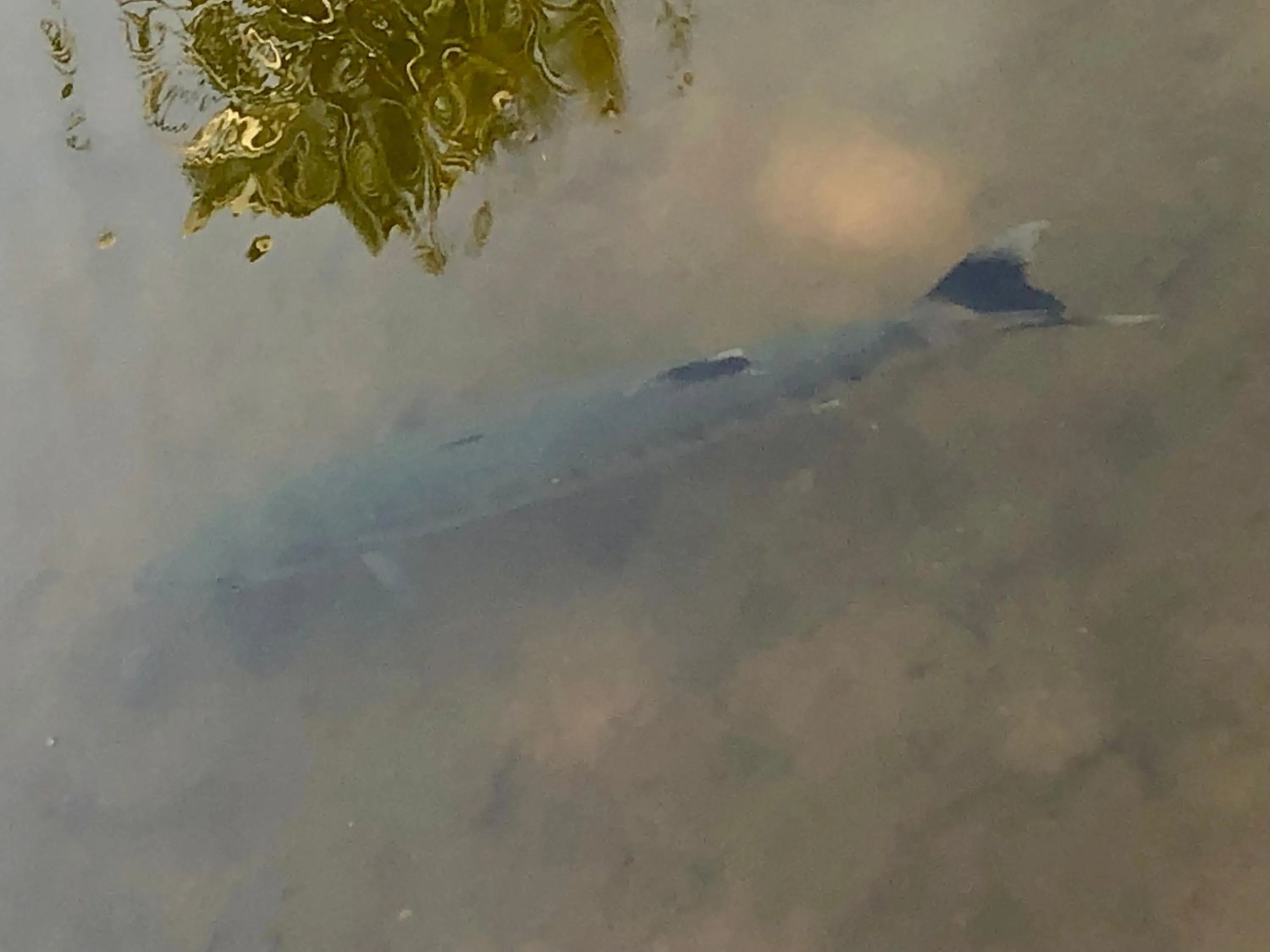 Fishing in Resort Primo Bom Terra Verde