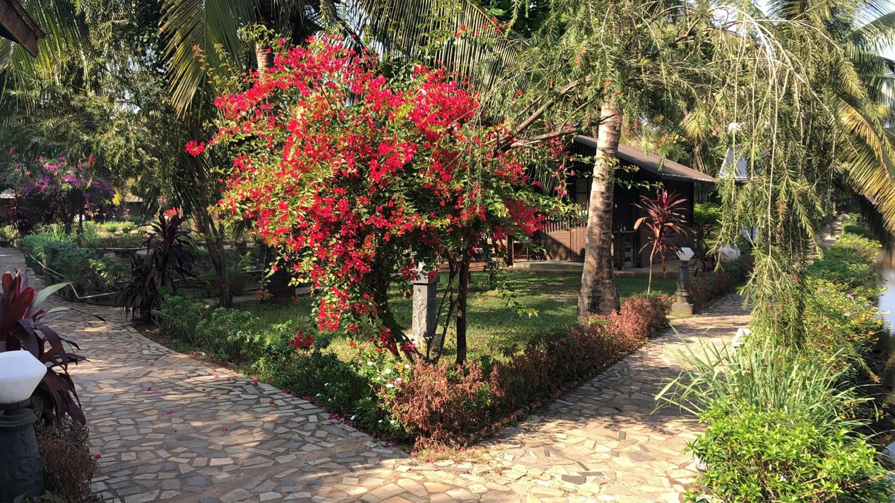 Garden in Resort Primo Bom Terra Verde