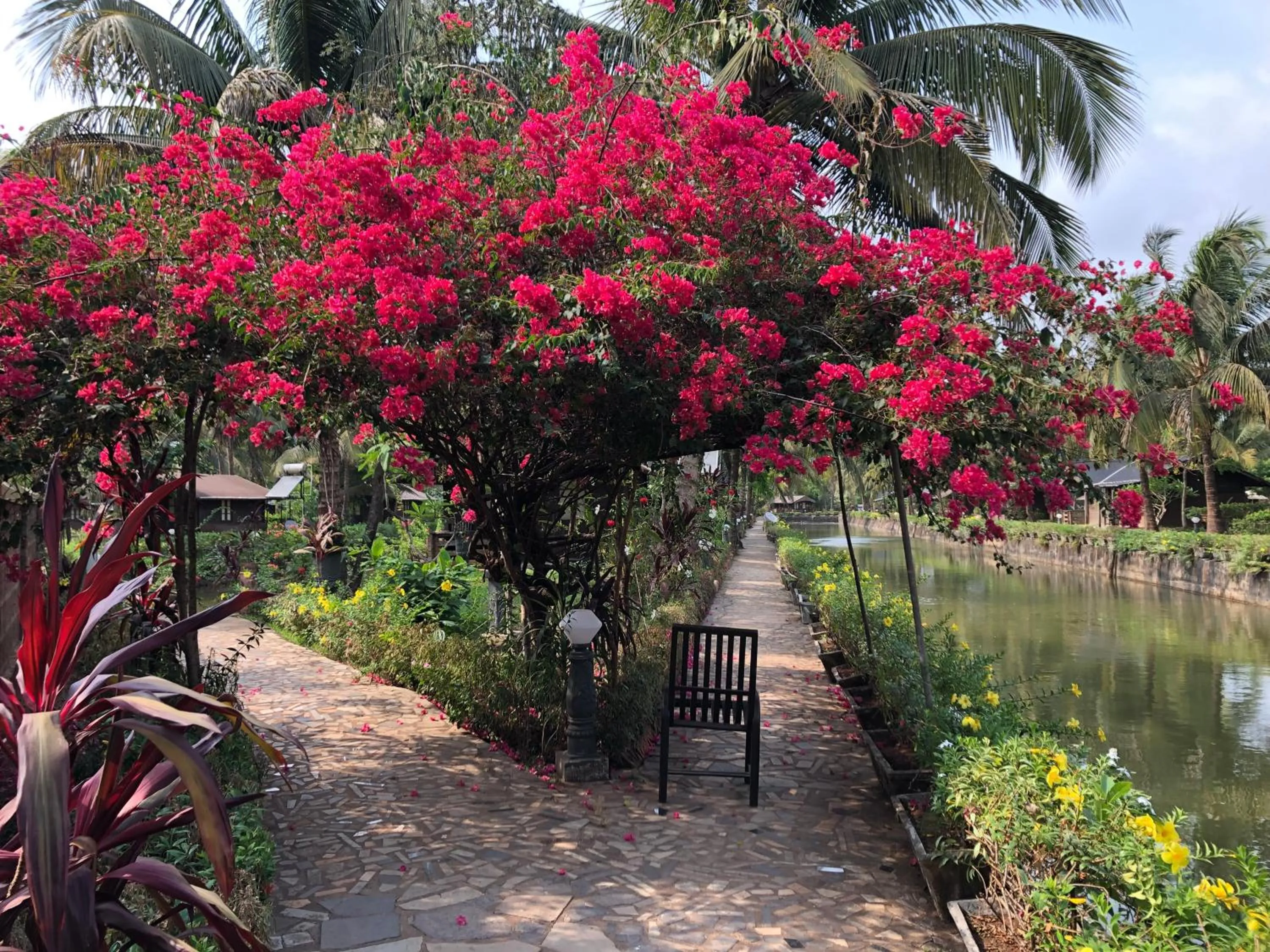 Garden in Resort Primo Bom Terra Verde