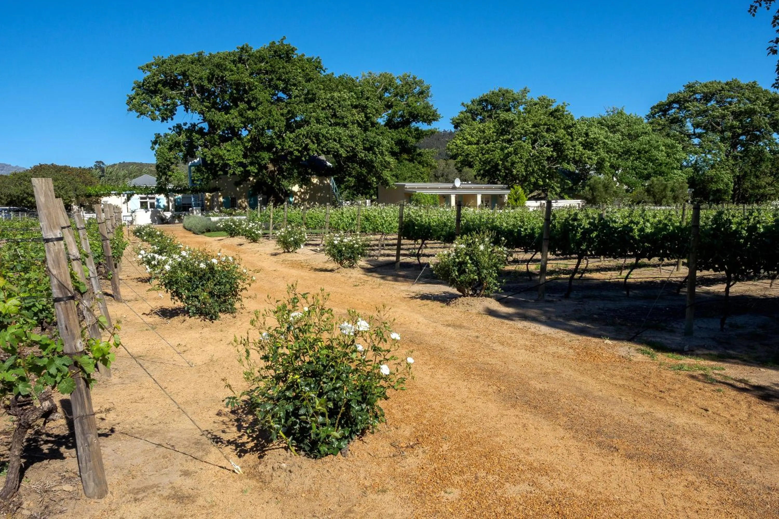 Nearby landmark in Auberge Clermont