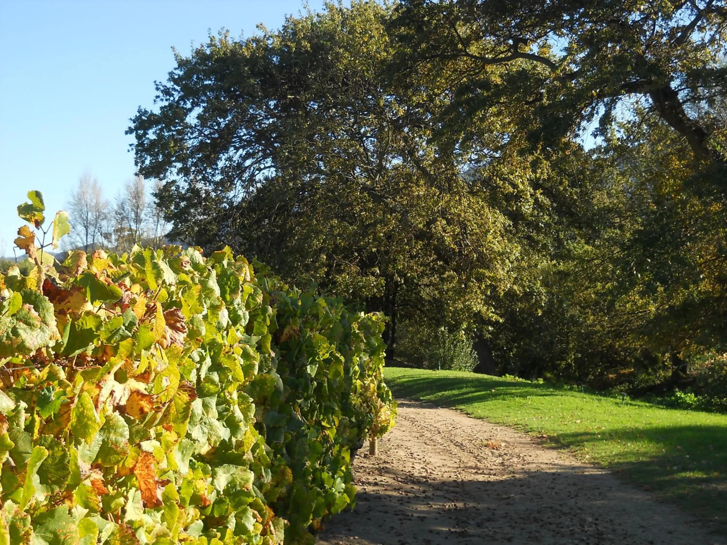 Nearby landmark in Auberge Clermont