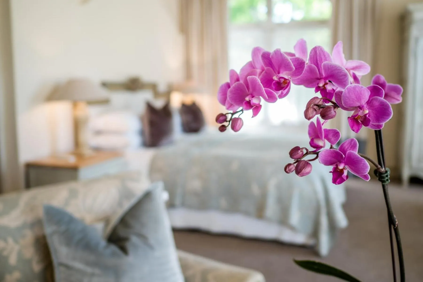 Decorative detail, Bed in Auberge Clermont