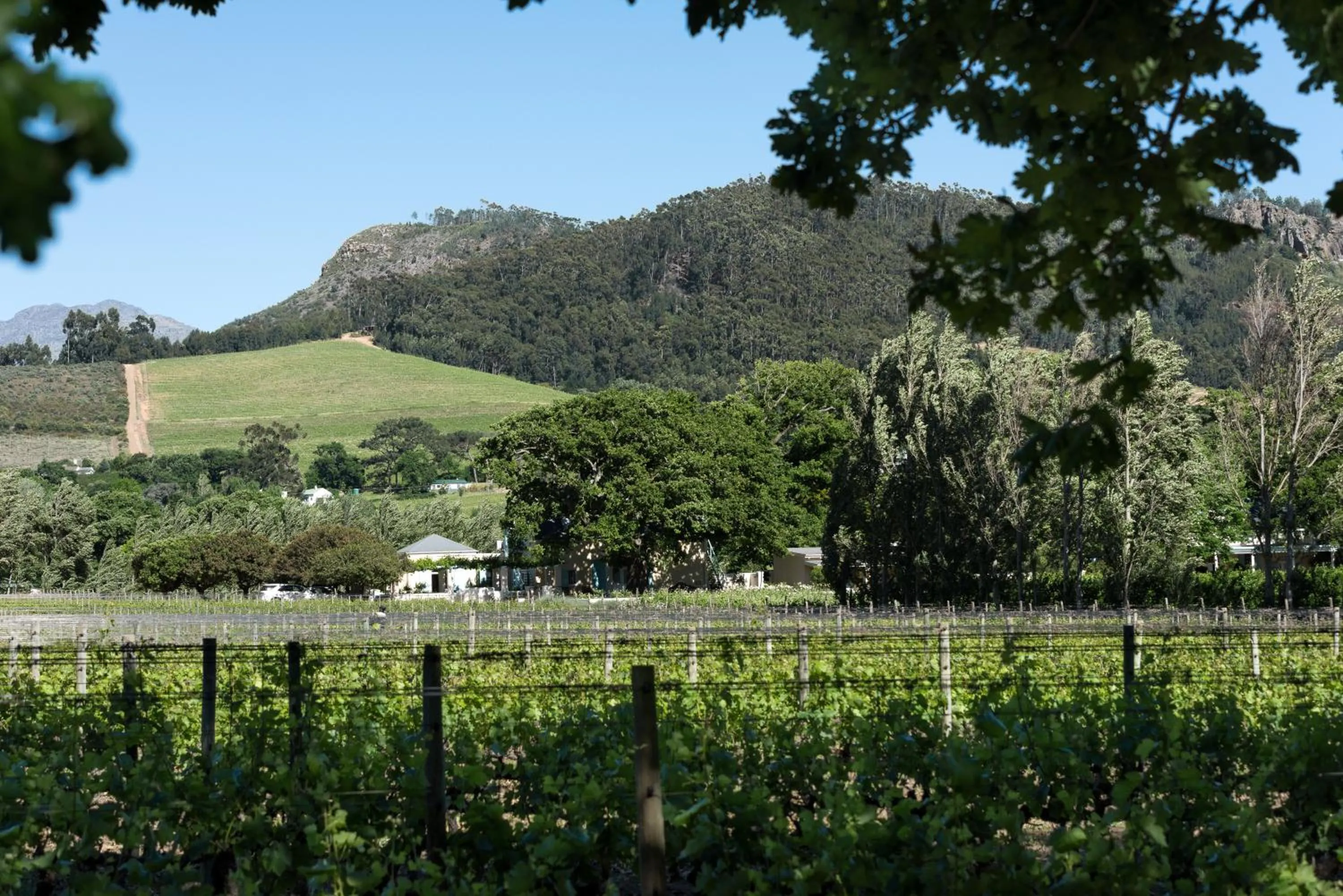Nearby landmark in Auberge Clermont
