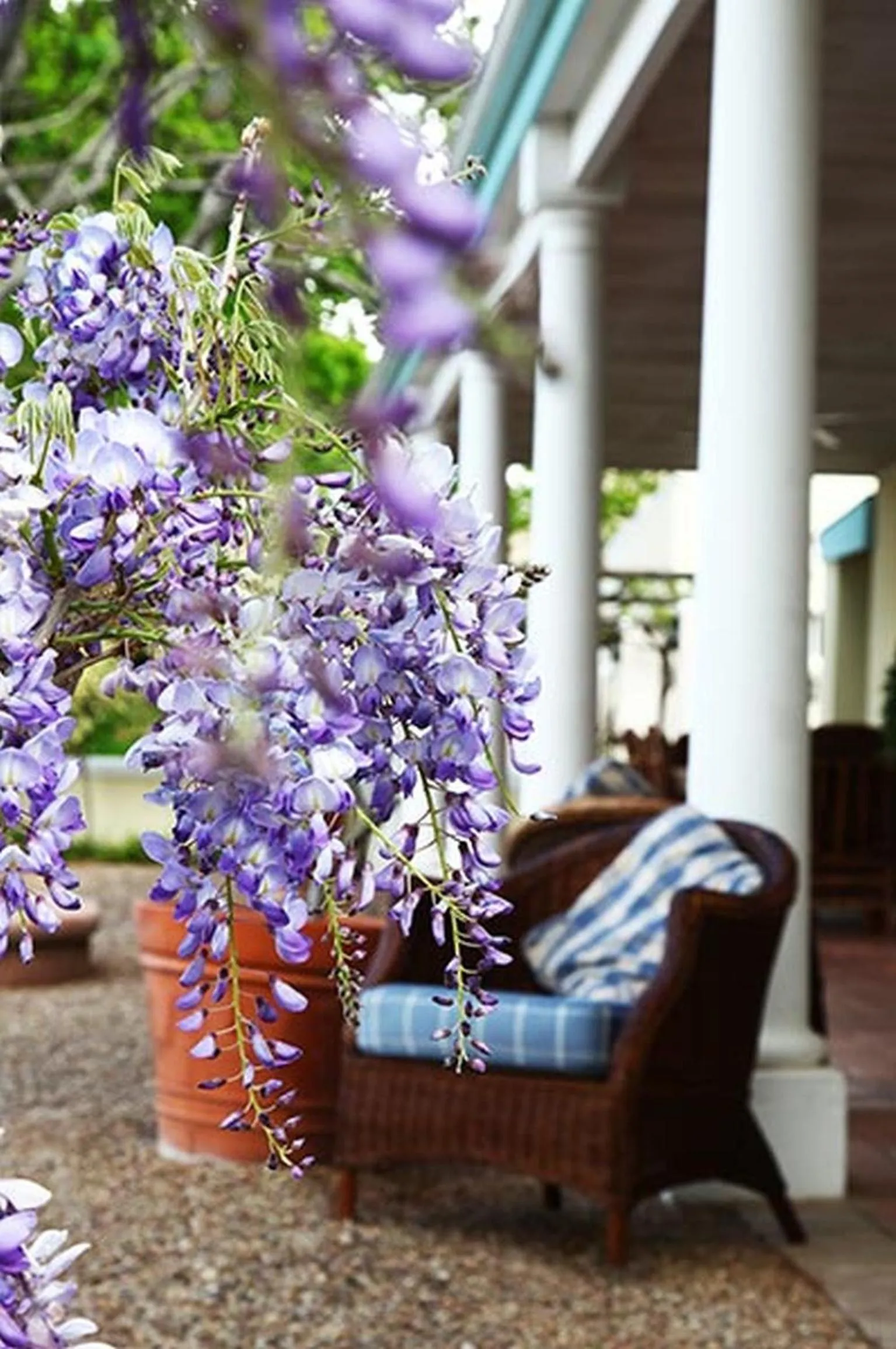 Nearby landmark in Auberge Clermont