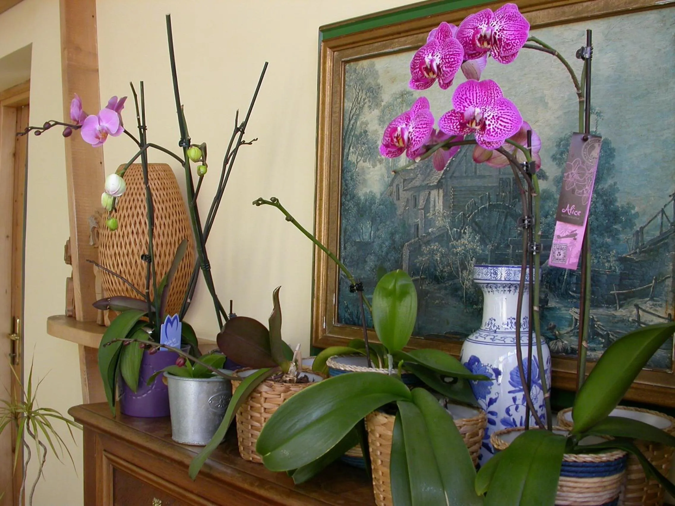 Lounge or bar in Hotel Il Roscio