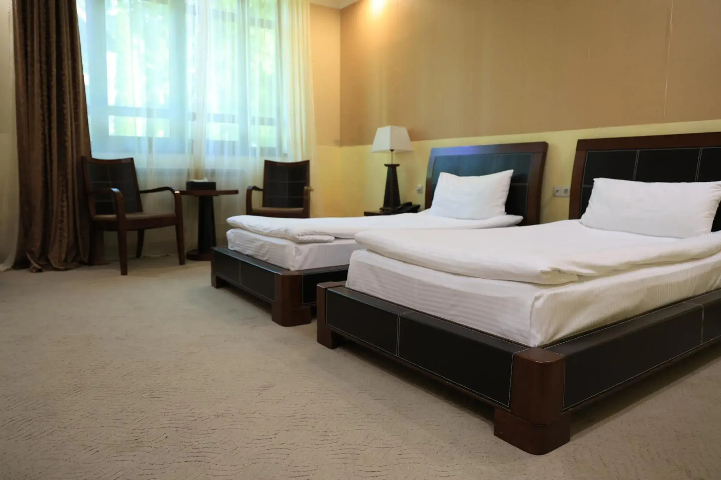 Standard Twin Room in Dilijan Park Resort & Villas Standard Twin Room in Dilijan Park Resort & Villas