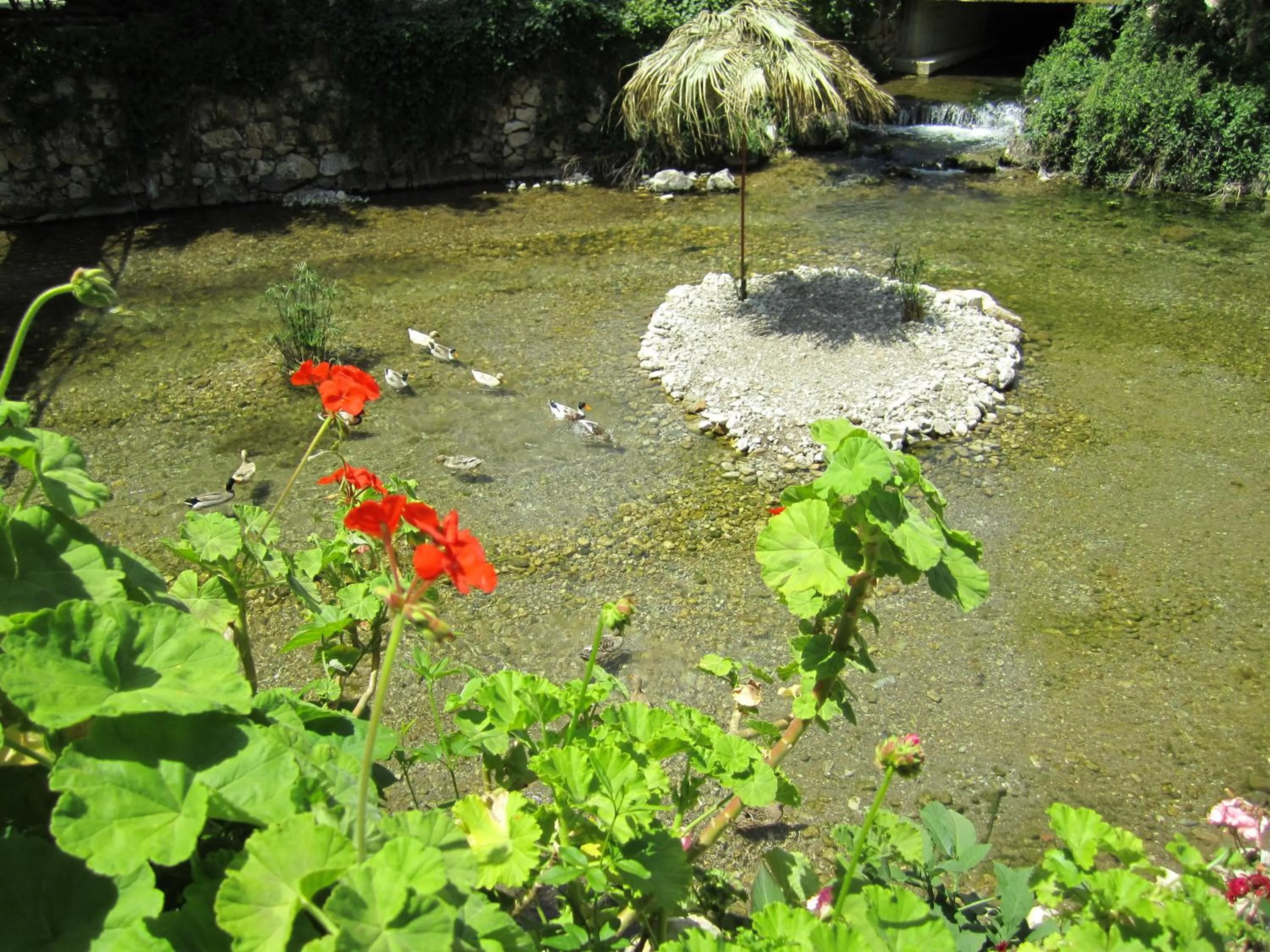 View (from property/room) in Arikanda River Garden Hotel