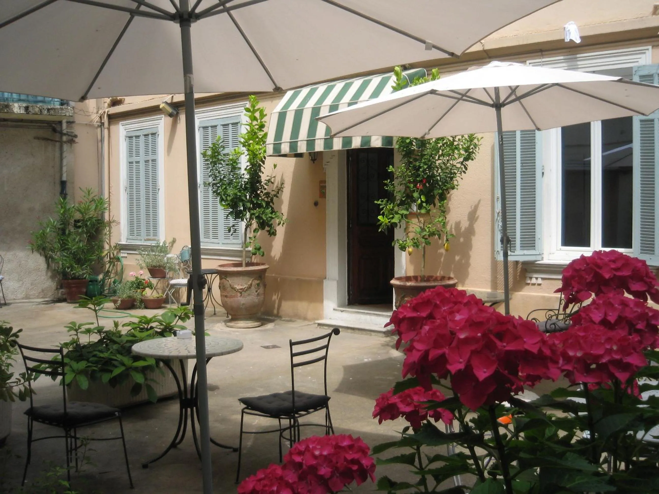 Garden in Chanteclair