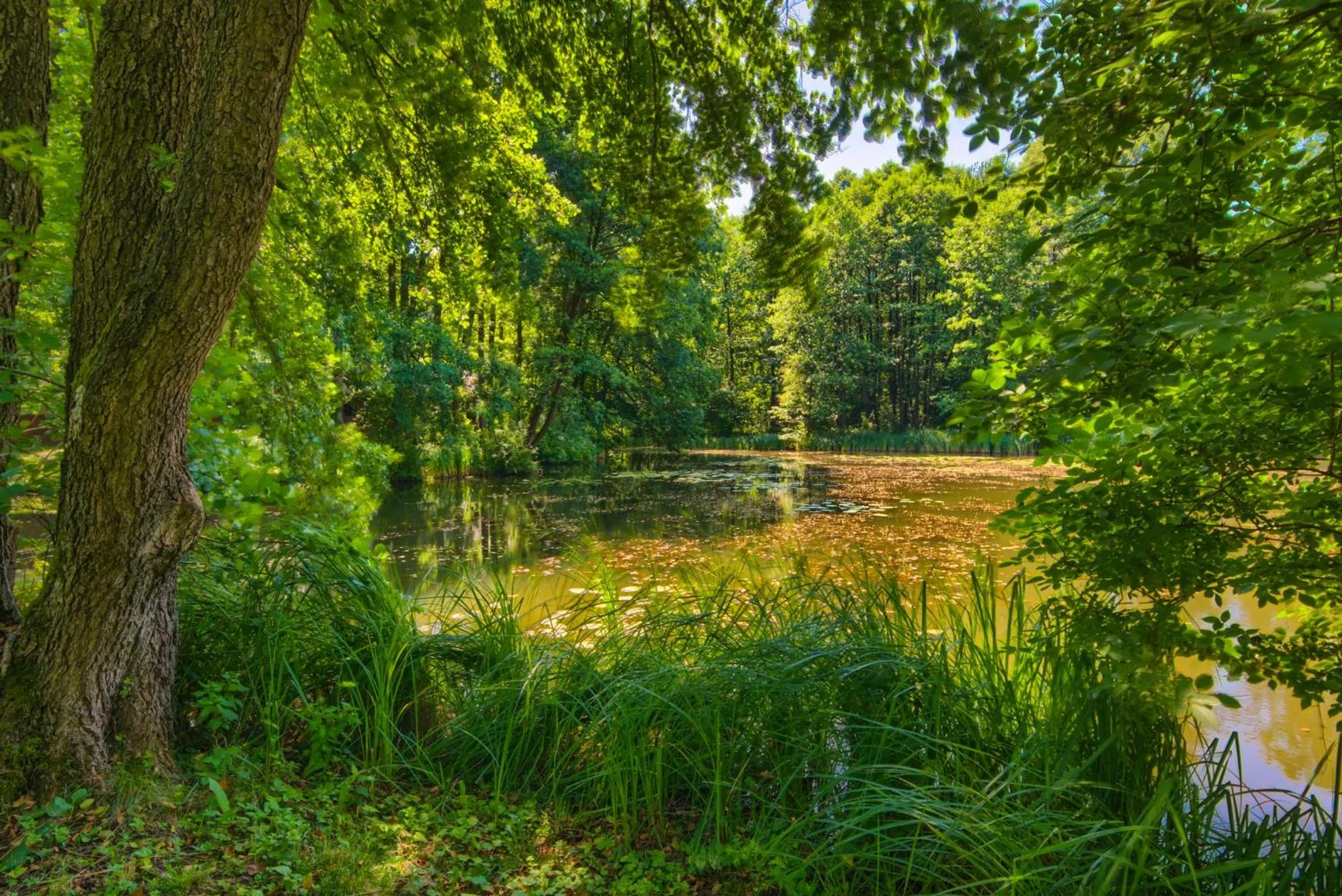 Other in Hotel Dworek Wapionka