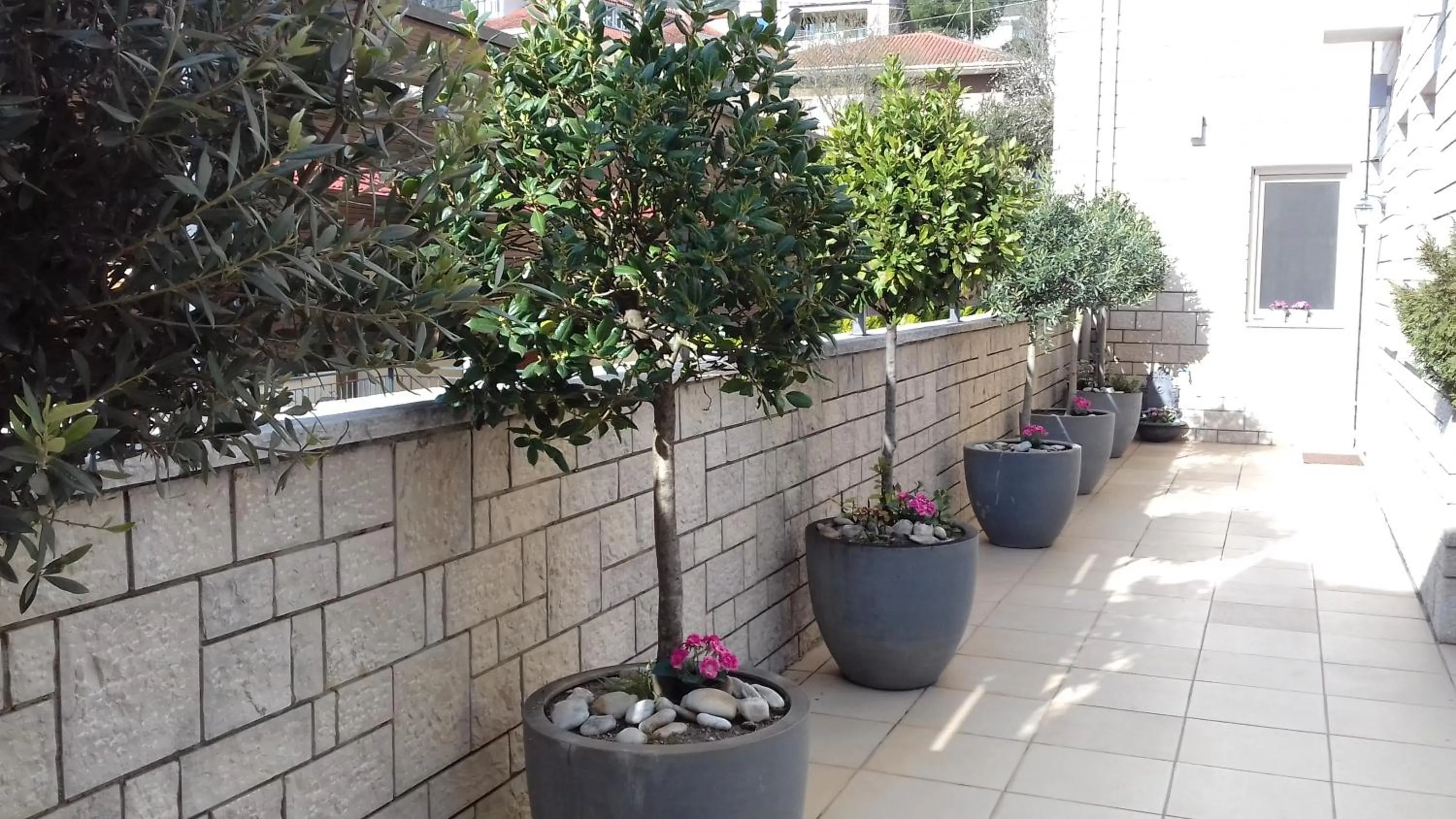 Property building in Anemolia Resort and Spa