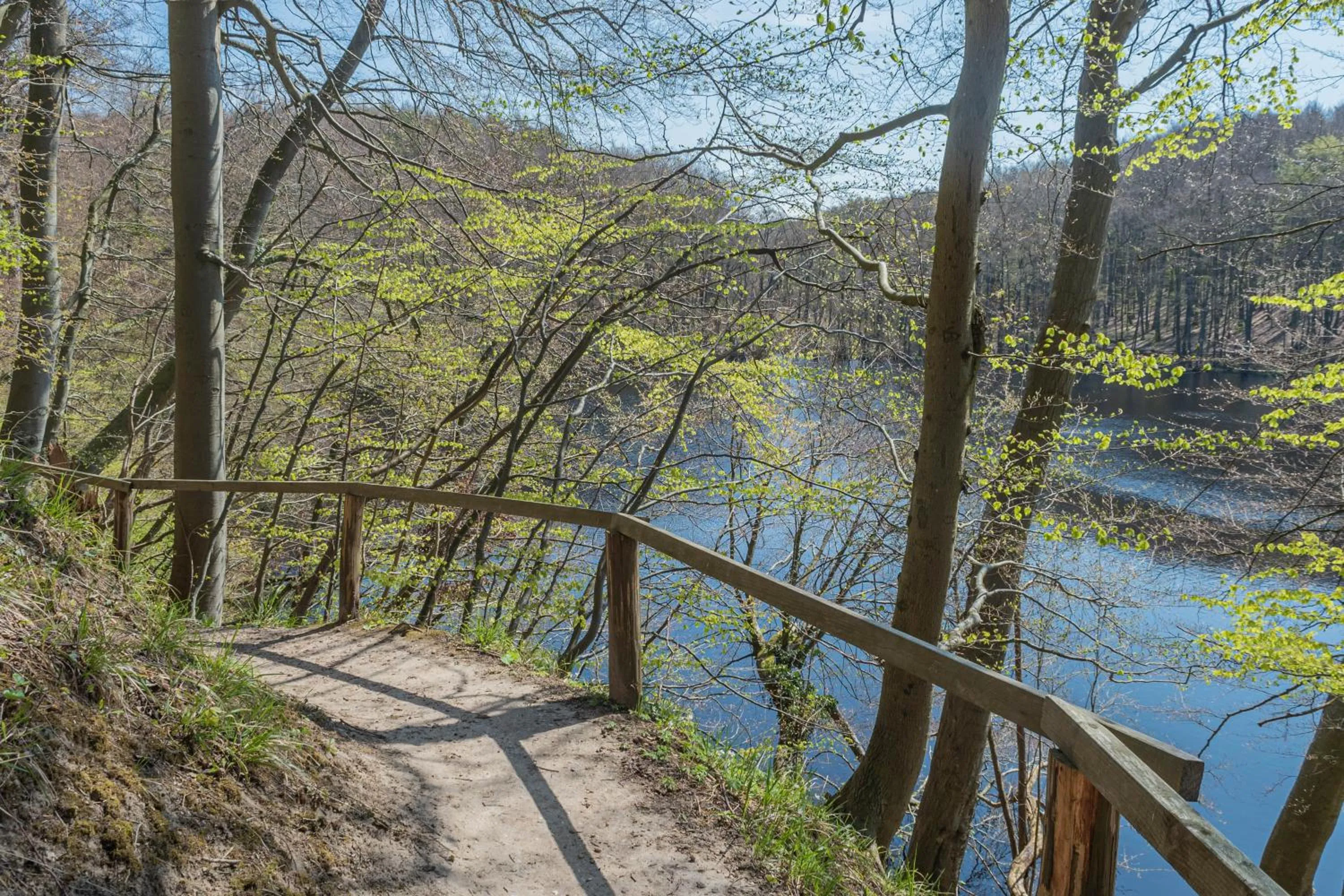 Natural landscape in Hotel Imperial Rügen