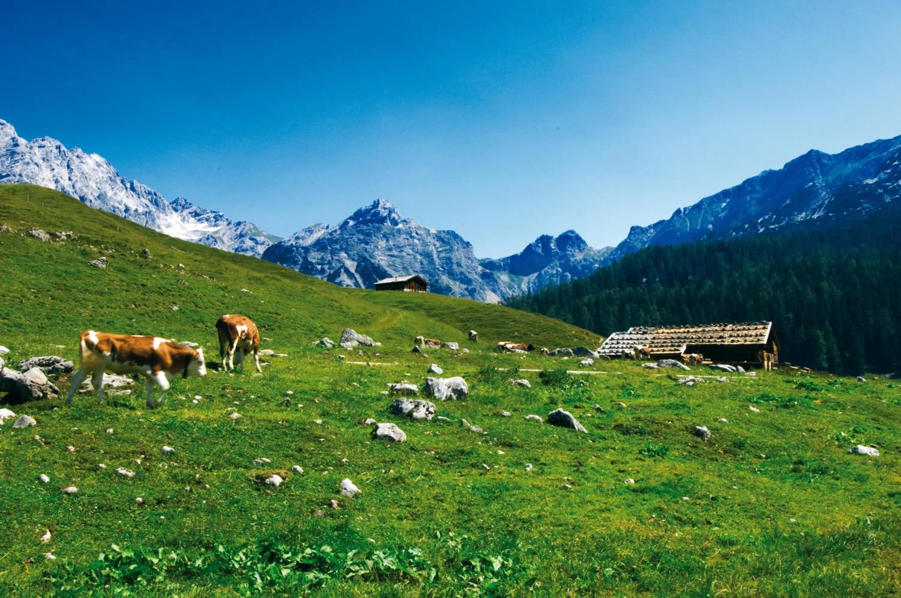 Staff in Genuss - und Vitalhotel Moisl