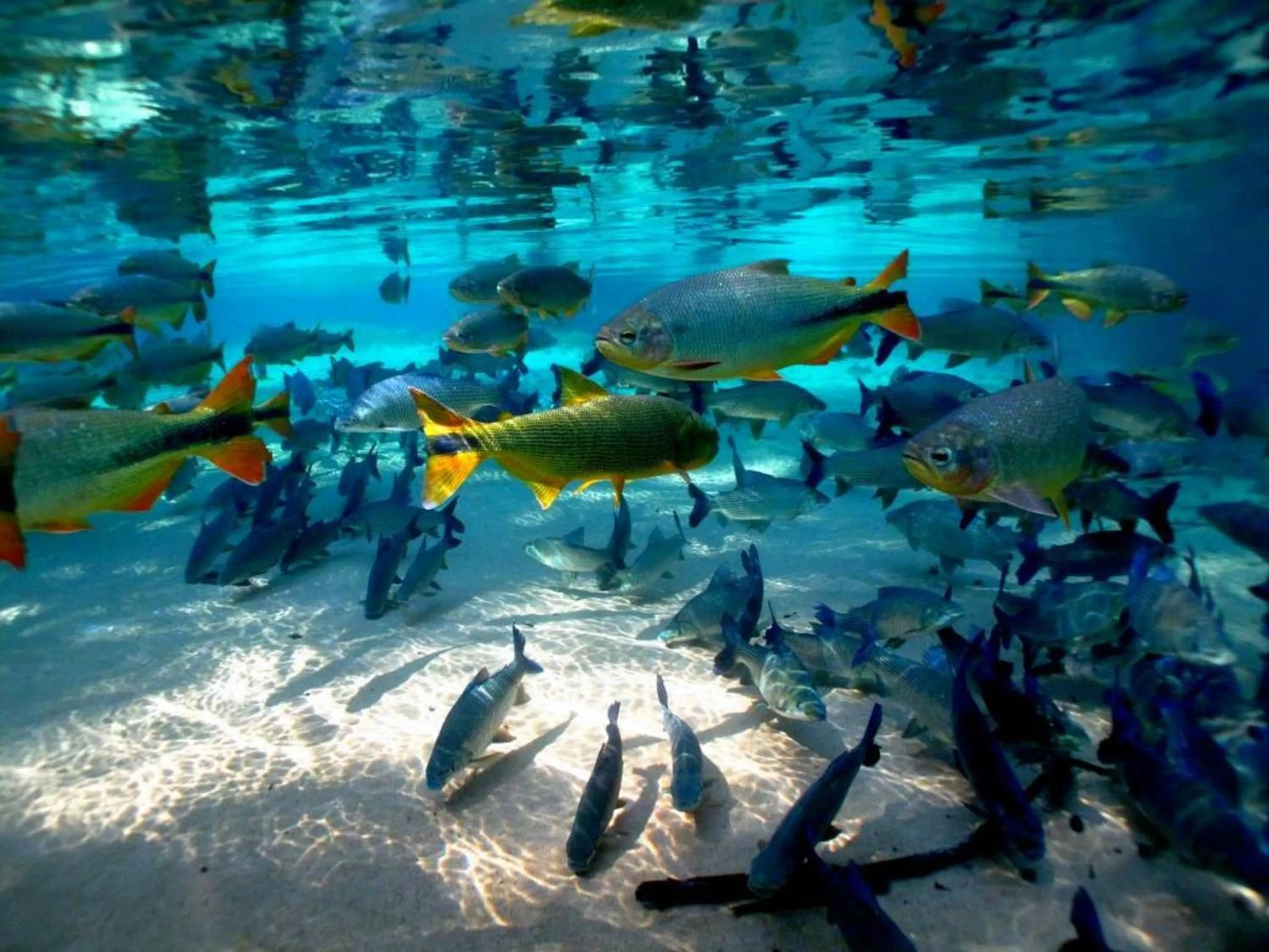 Aqua park in Pousada Jubaia