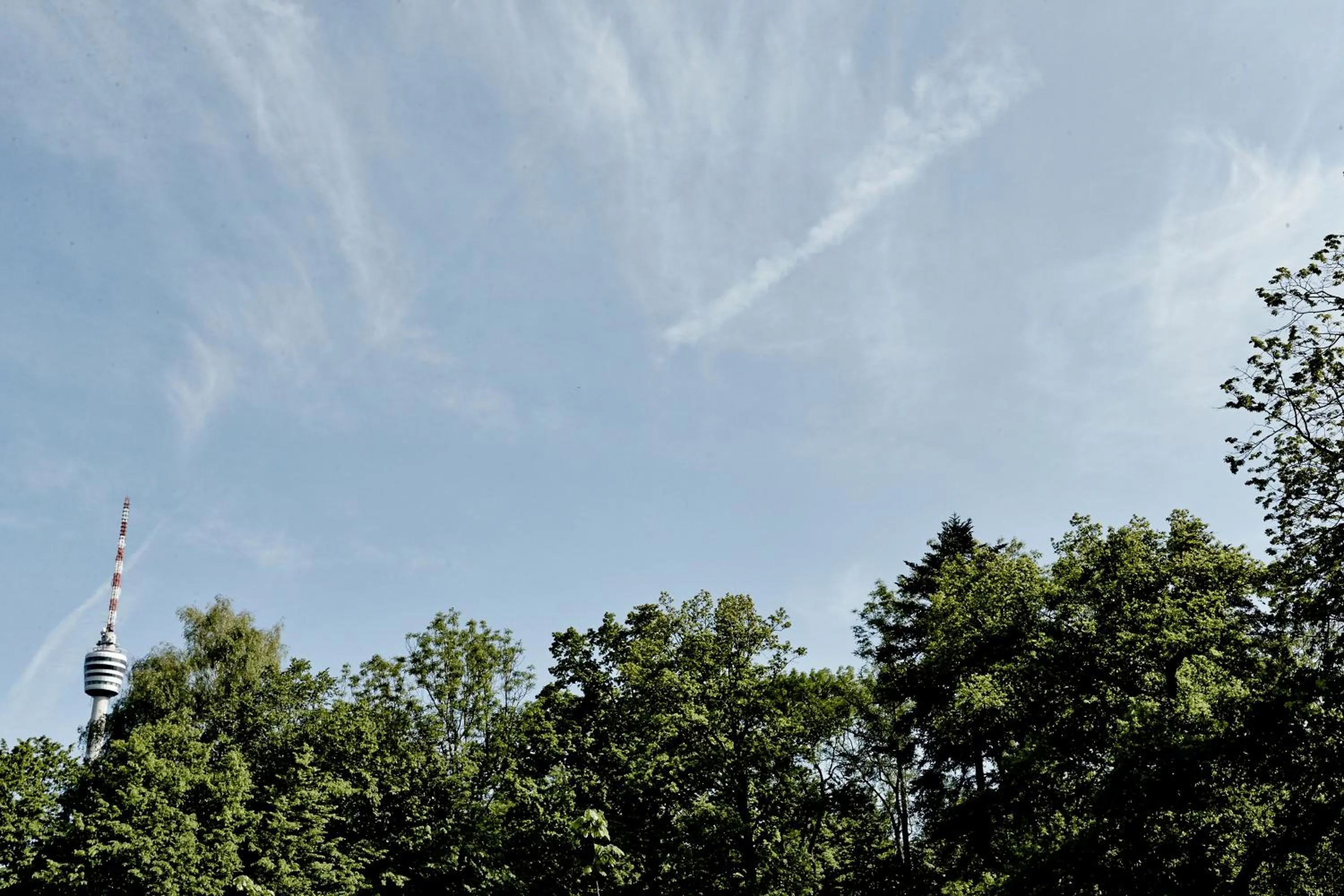 Garden in Waldhotel Stuttgart