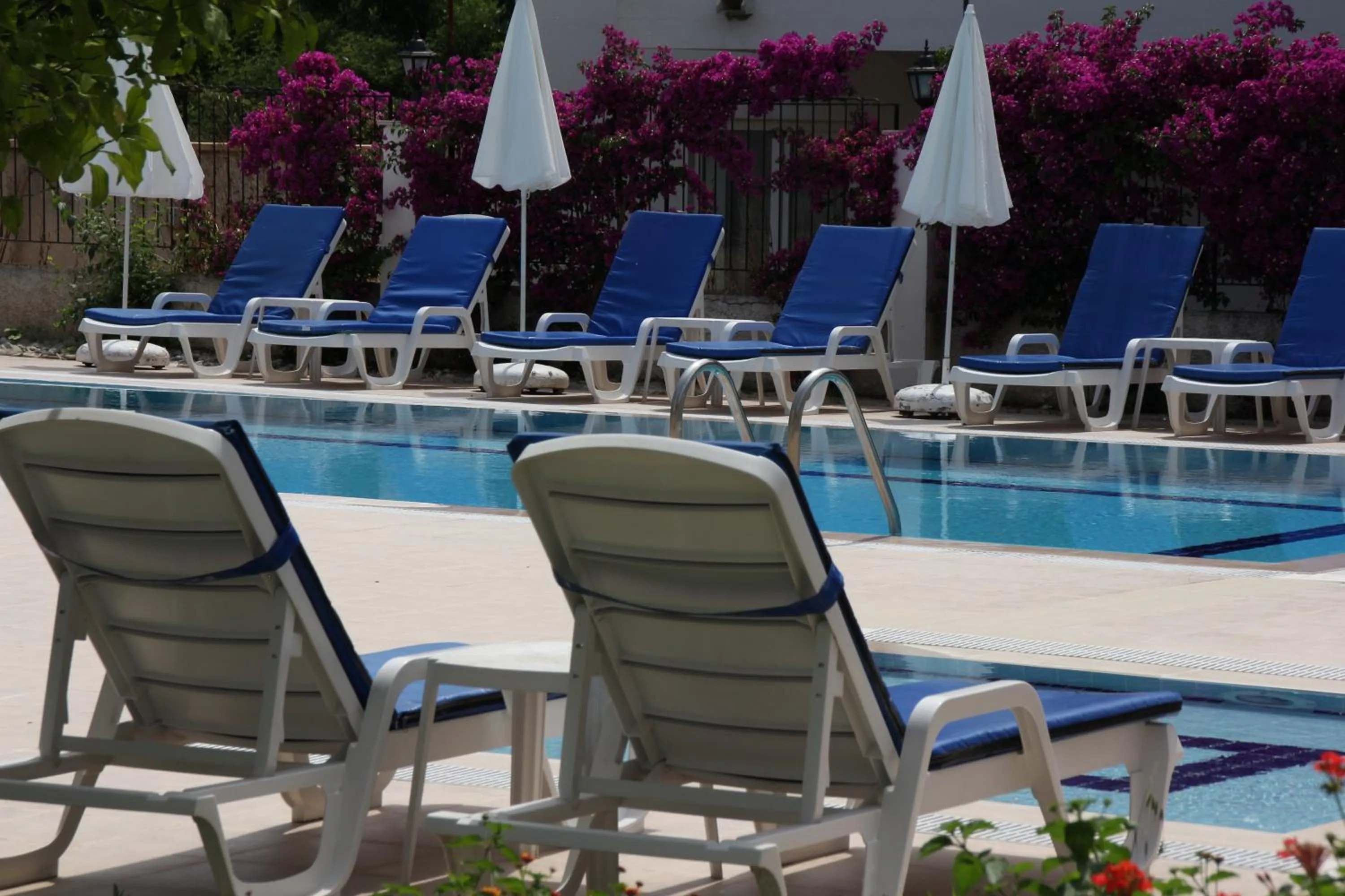 Garden in Minta Apart Hotel